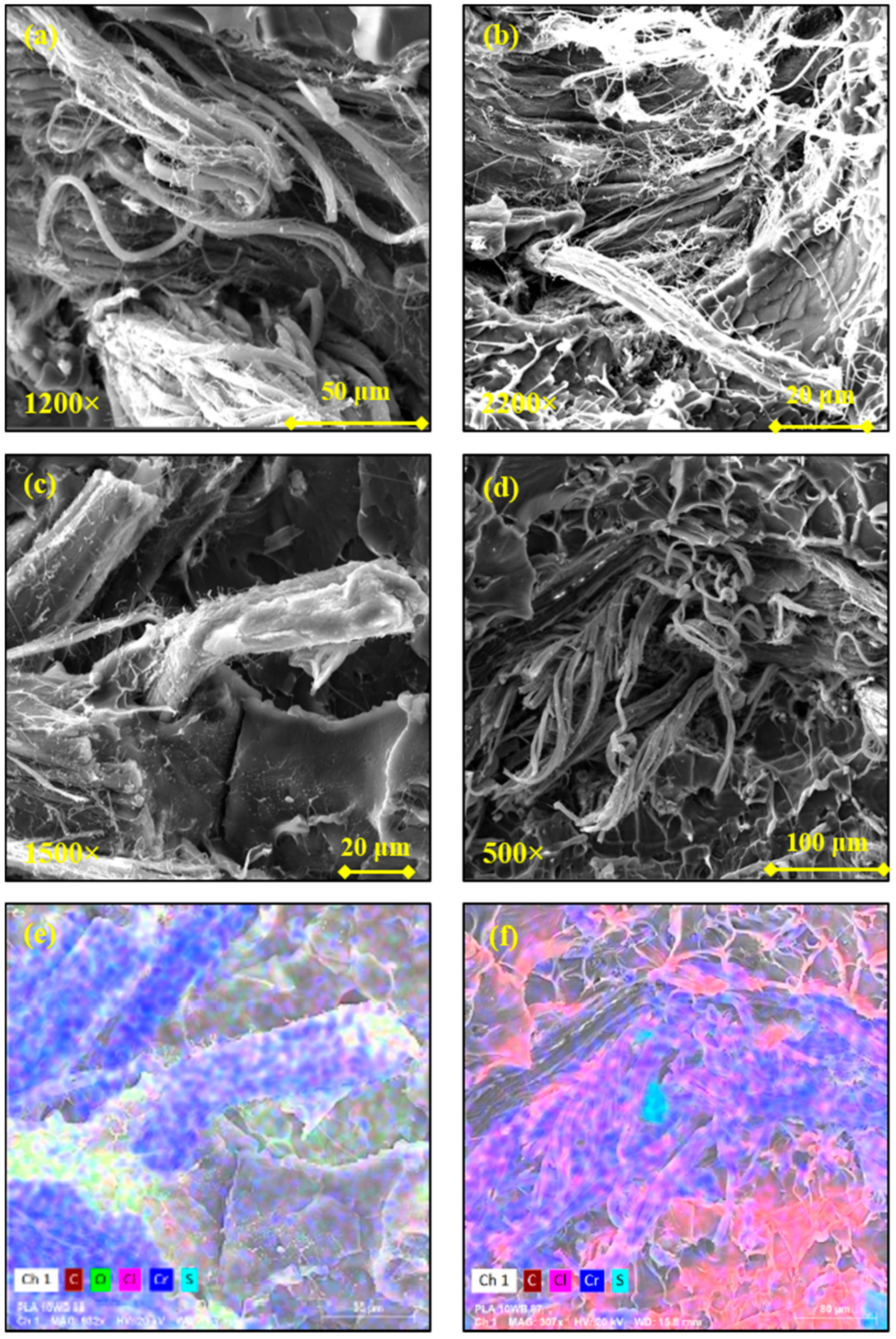 Polymers 13 01837 g007