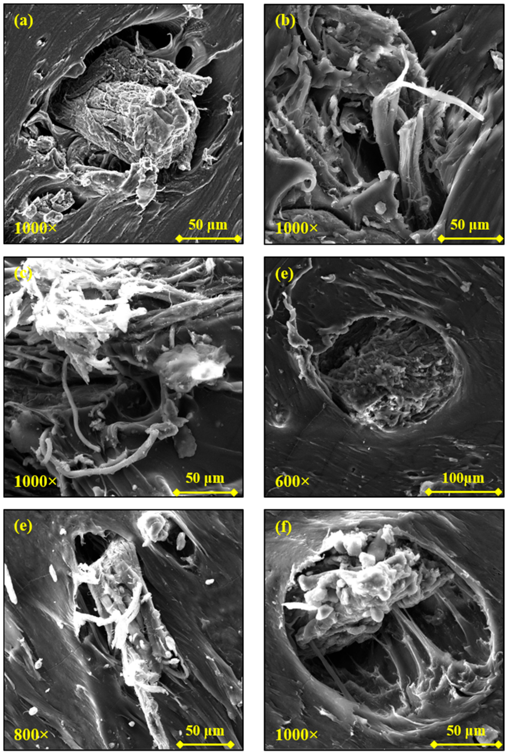 Polymers 13 01837 g008