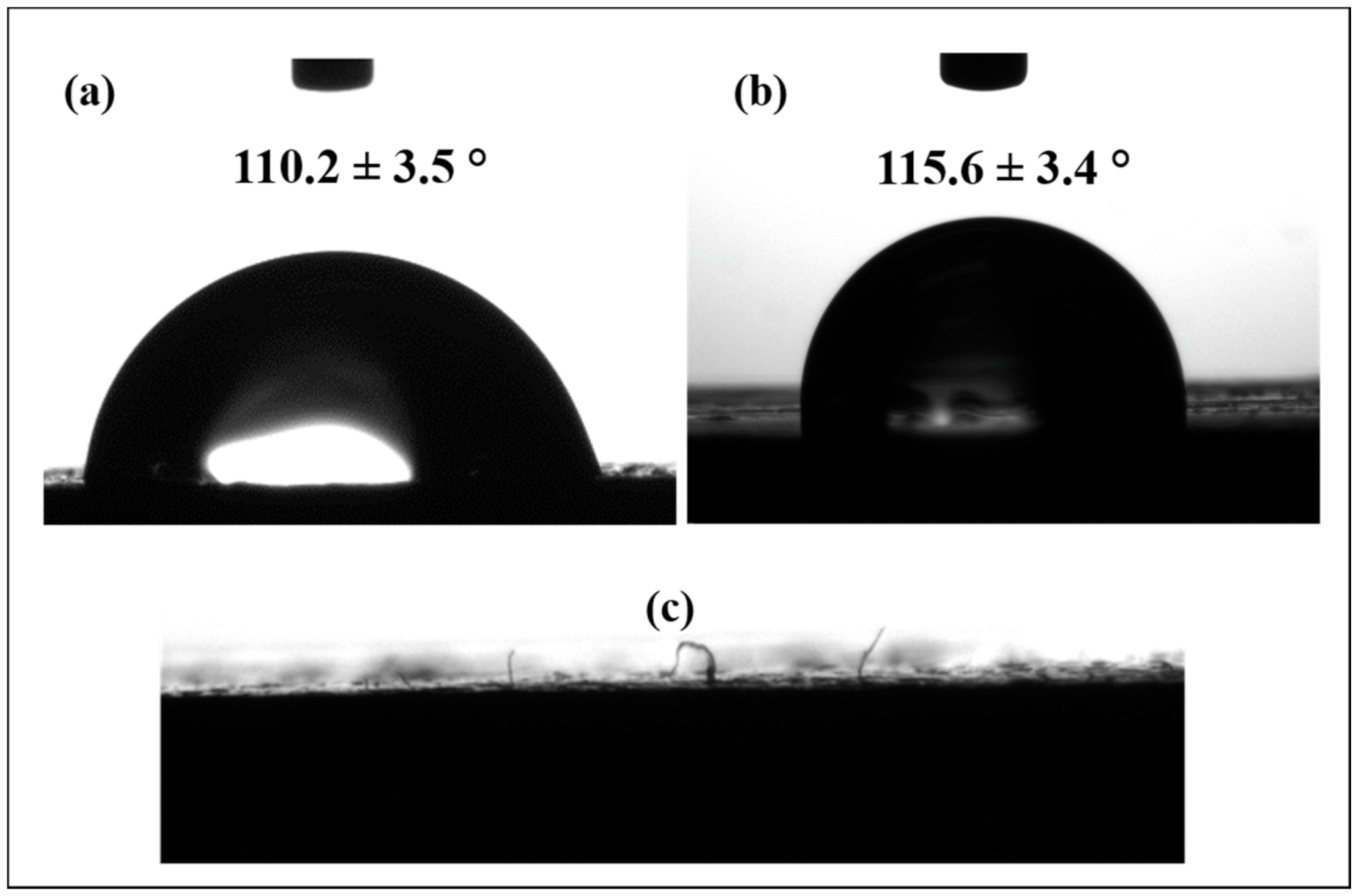 Polymers 13 01837 g009