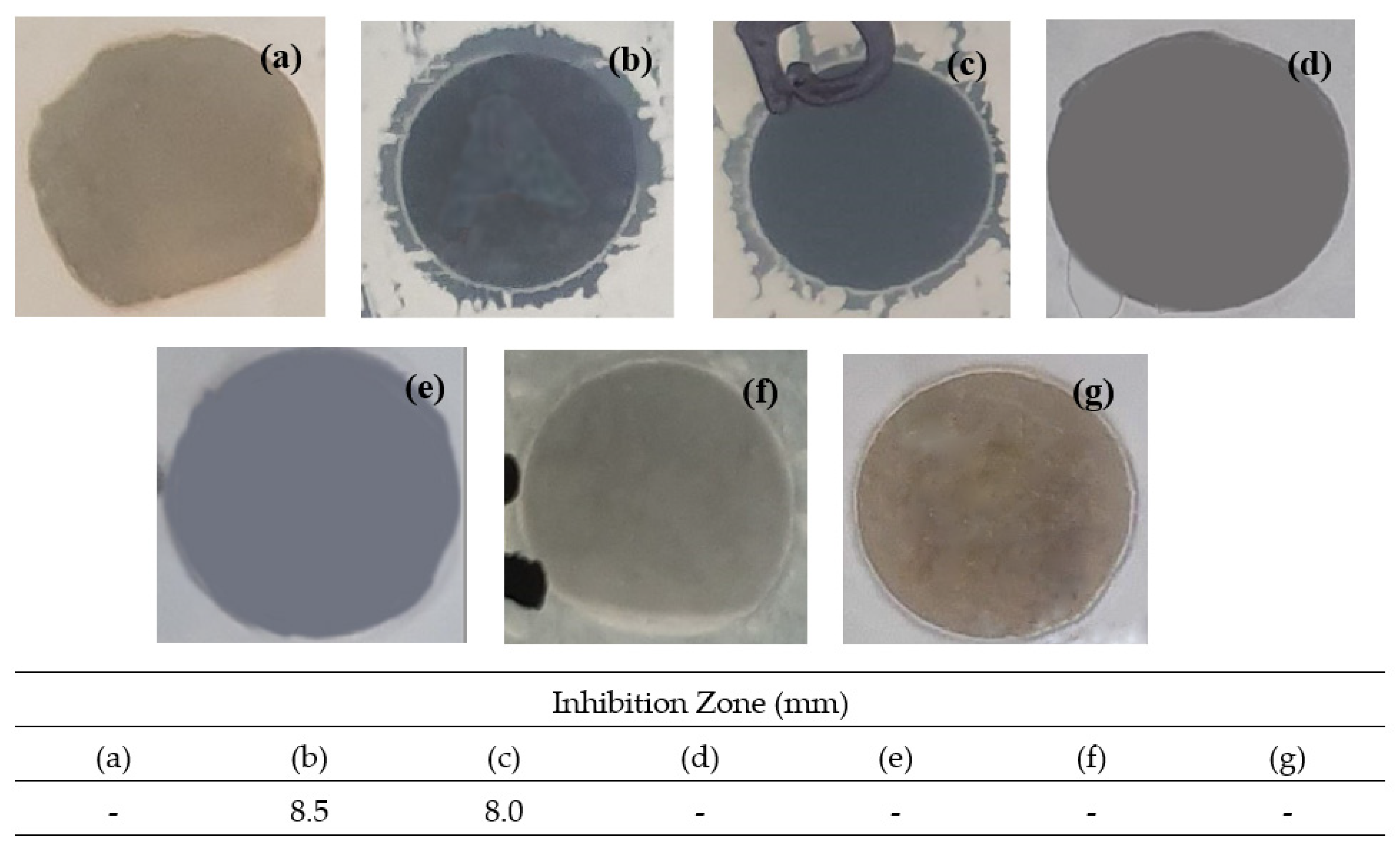 Polymers 13 01839 g011 Polymers 13 01839 g011