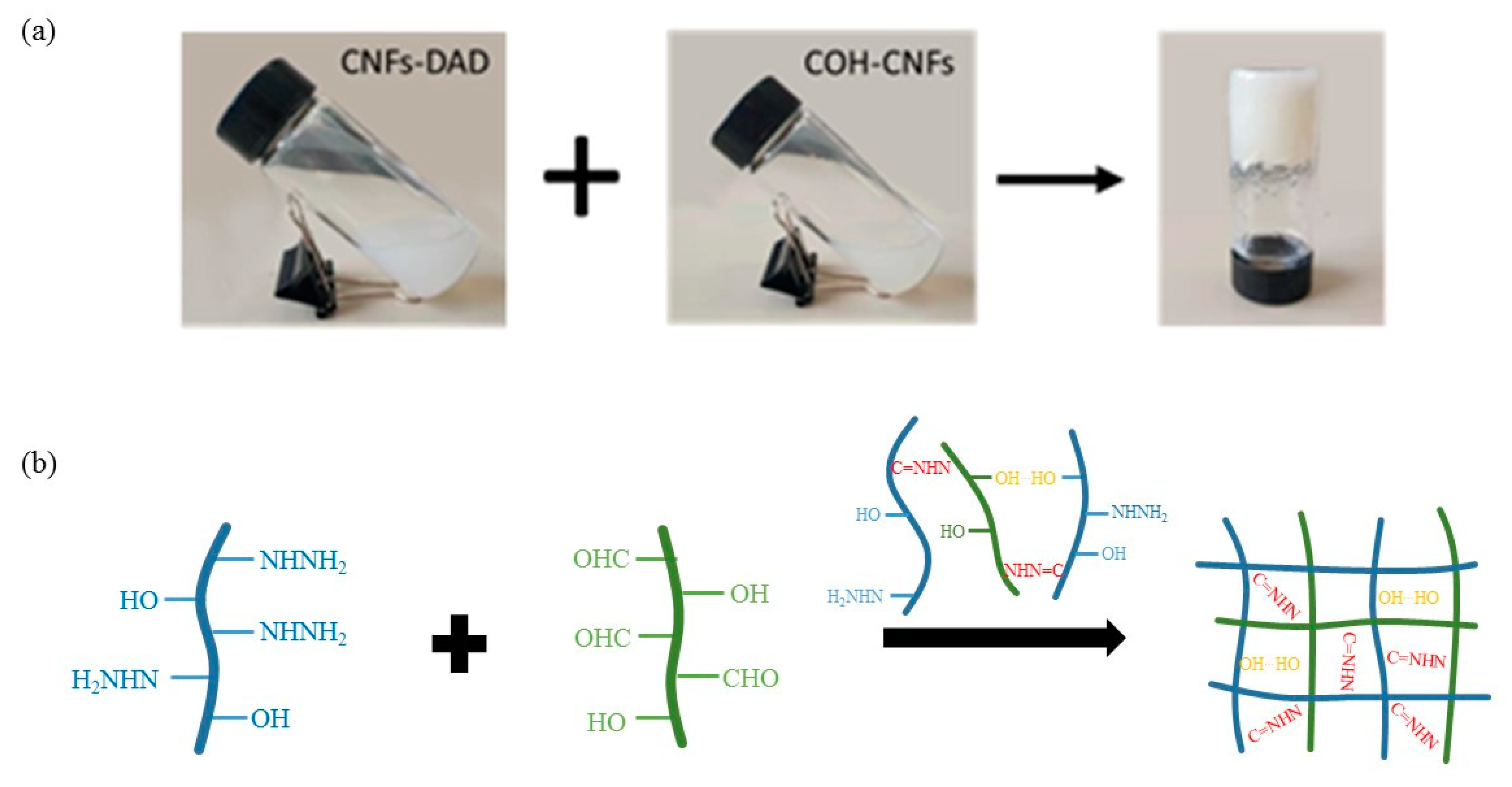 Polymers 13 01841 g002 Polymers 13 01841 g002