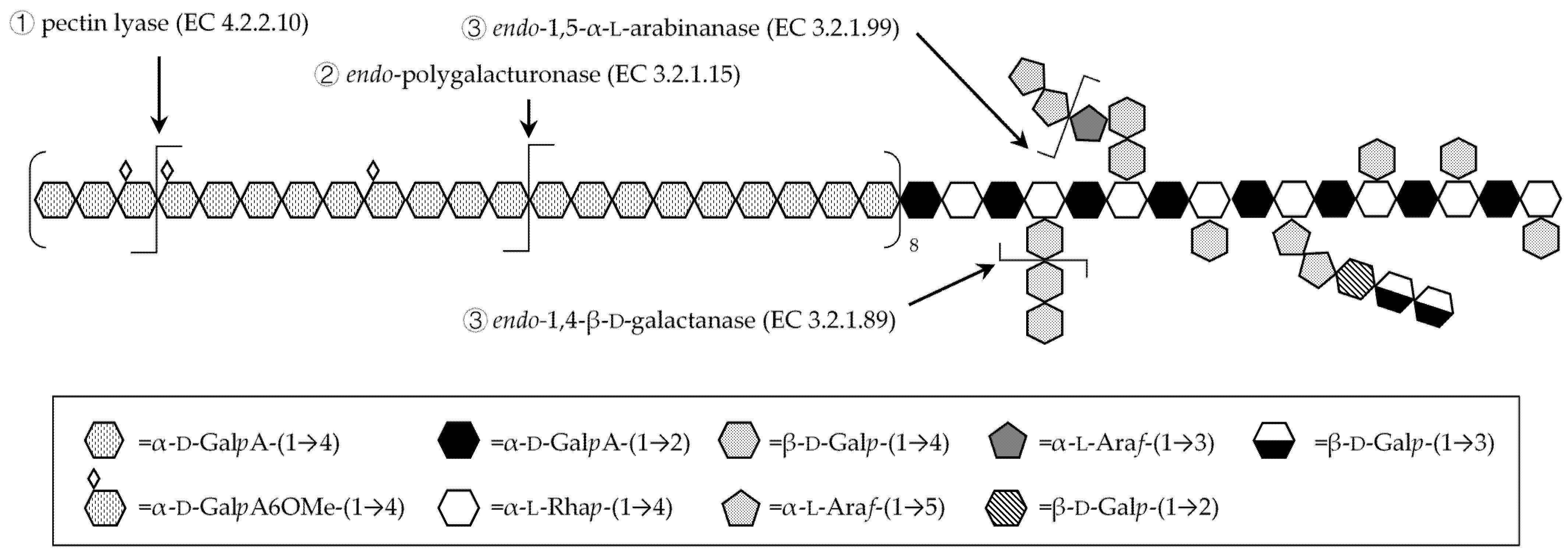 Polymers 13 01842 g001