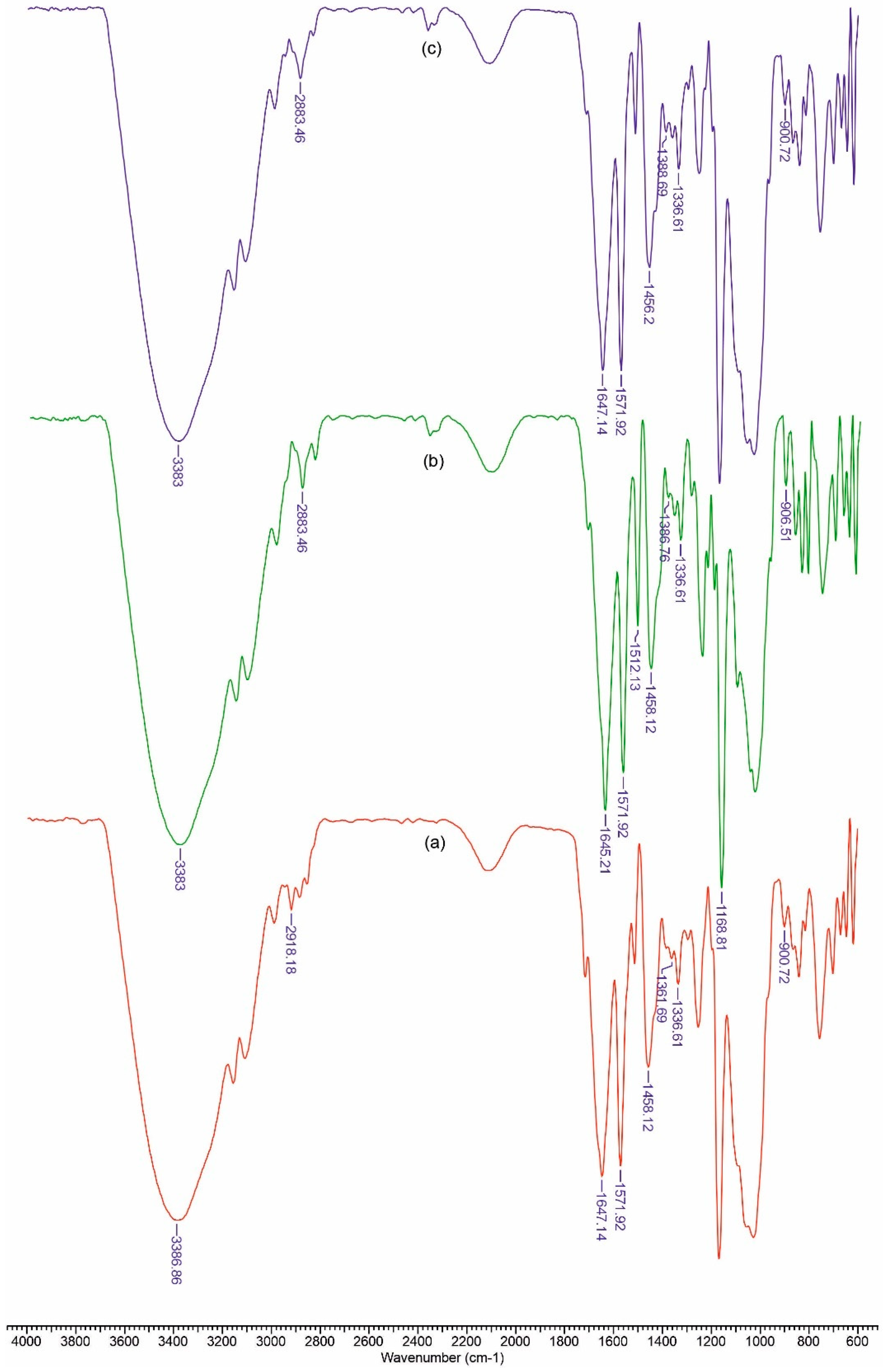 Polymers 13 01845 g002 Polymers 13 01845 g002