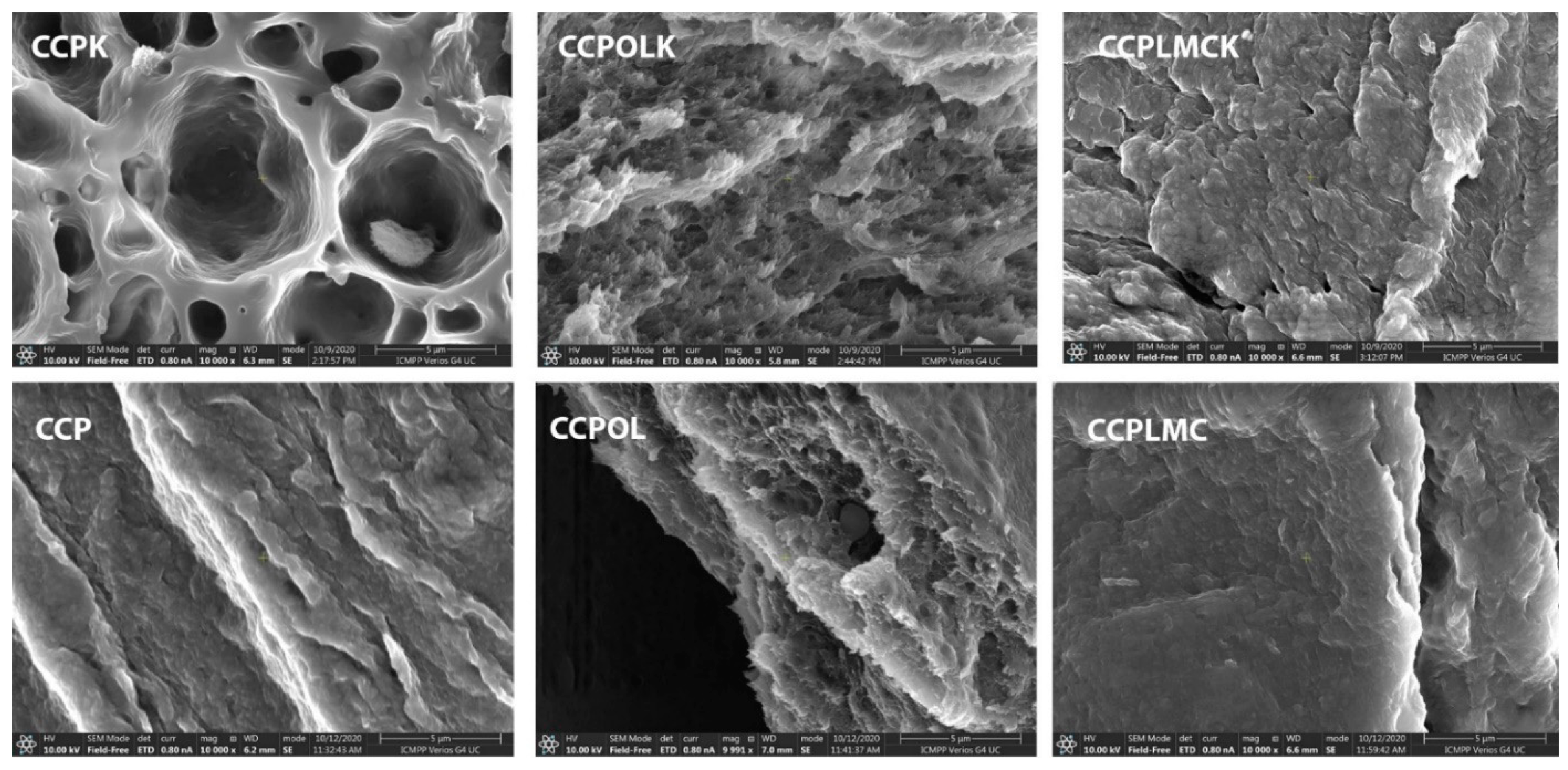 Polymers 13 01845 g006 Polymers 13 01845 g006