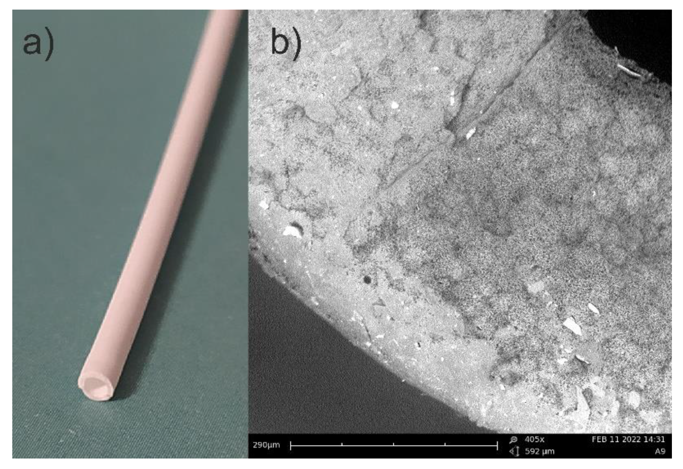 Polymers 13 01846 g002