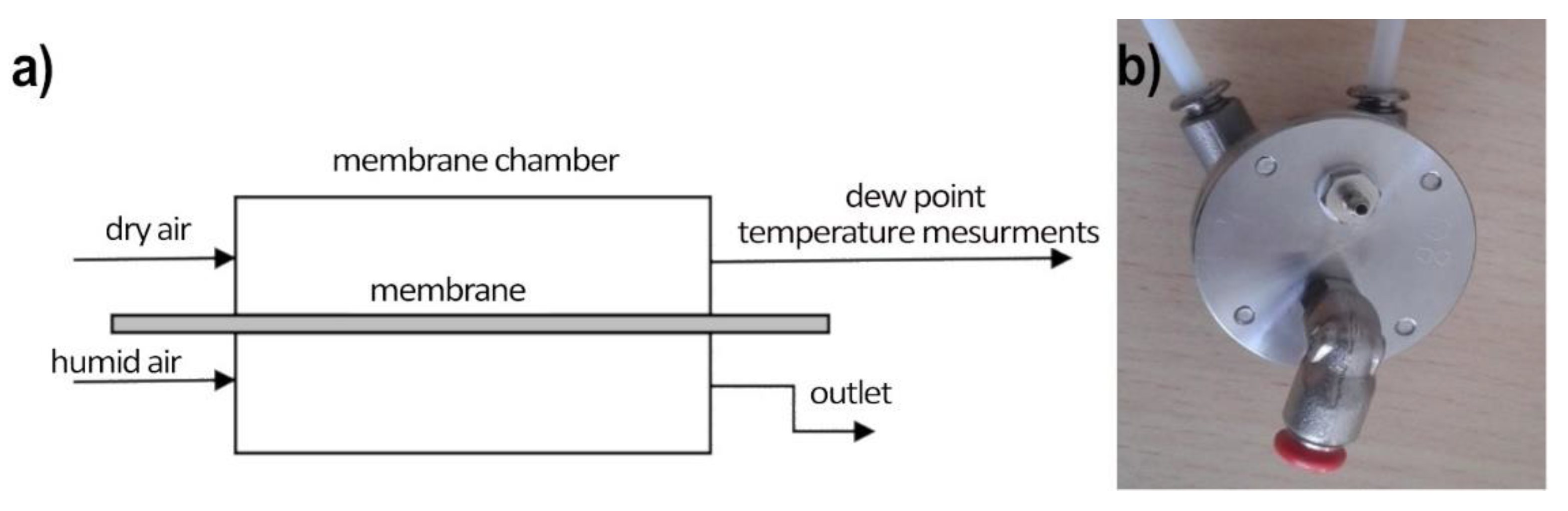Polymers 13 01846 g004