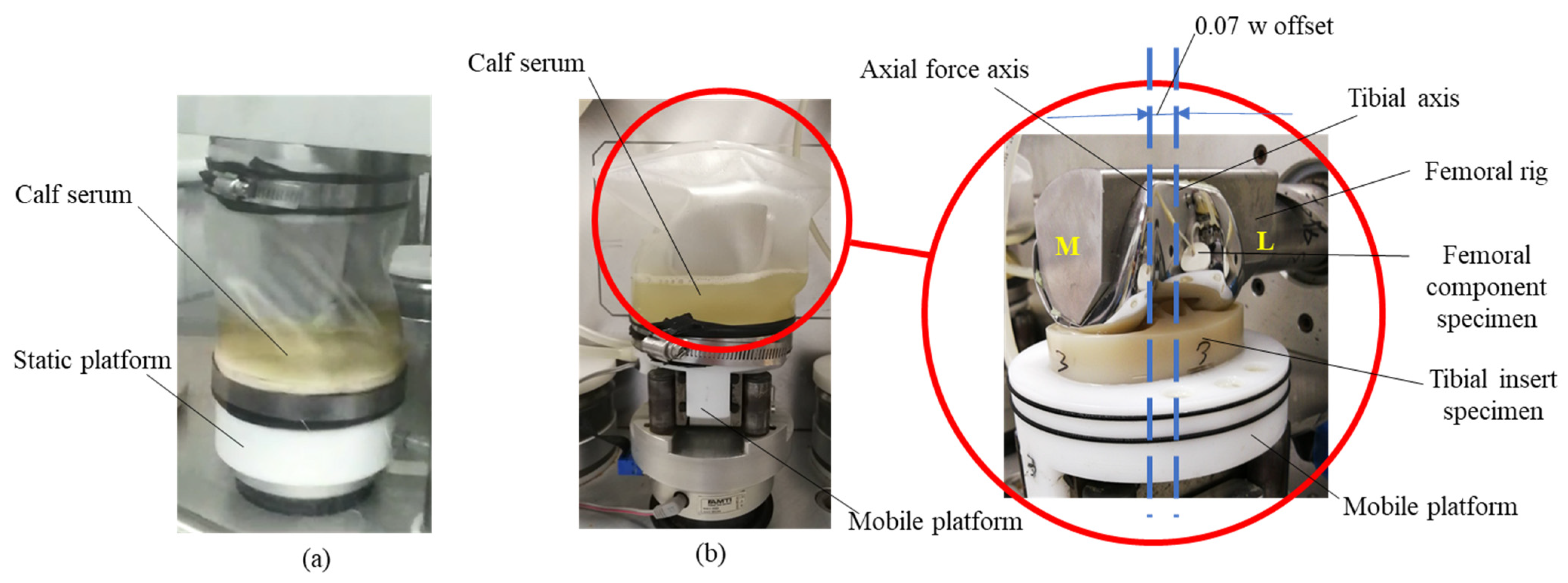 Polymers 13 01847 g001