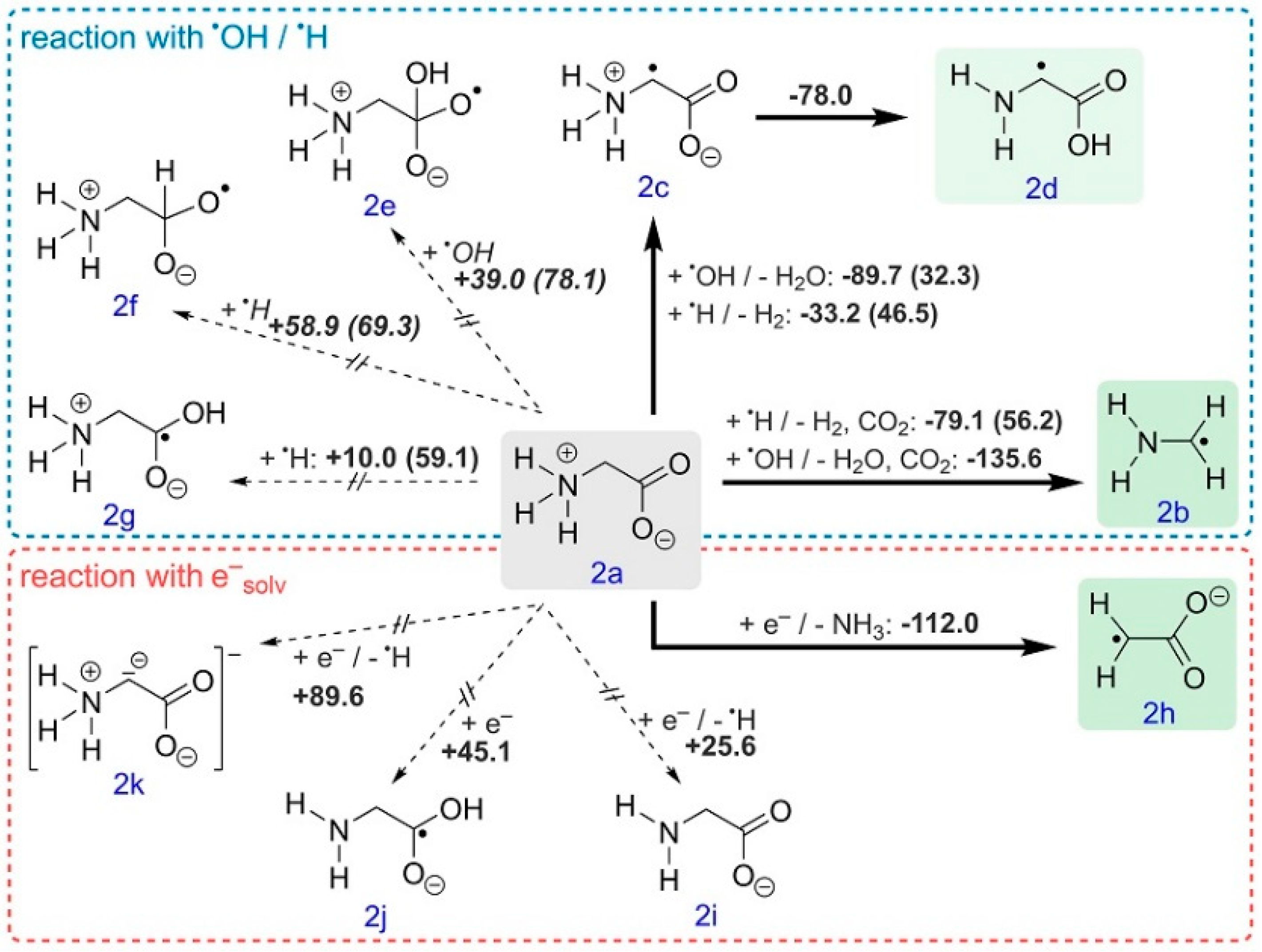 Polymers 13 01849 sch004 Polymers 13 01849 sch004