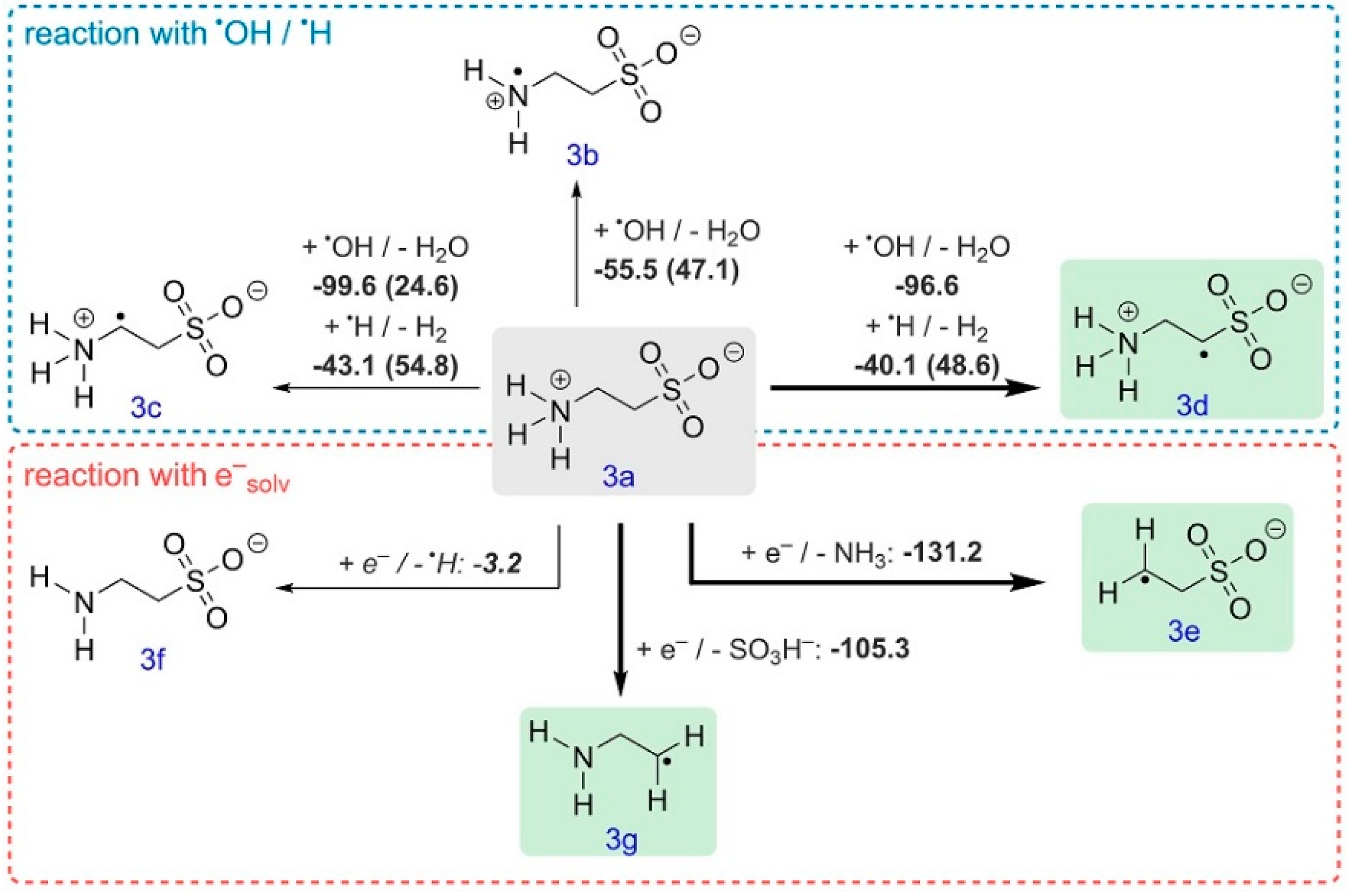 Polymers 13 01849 sch005 Polymers 13 01849 sch005