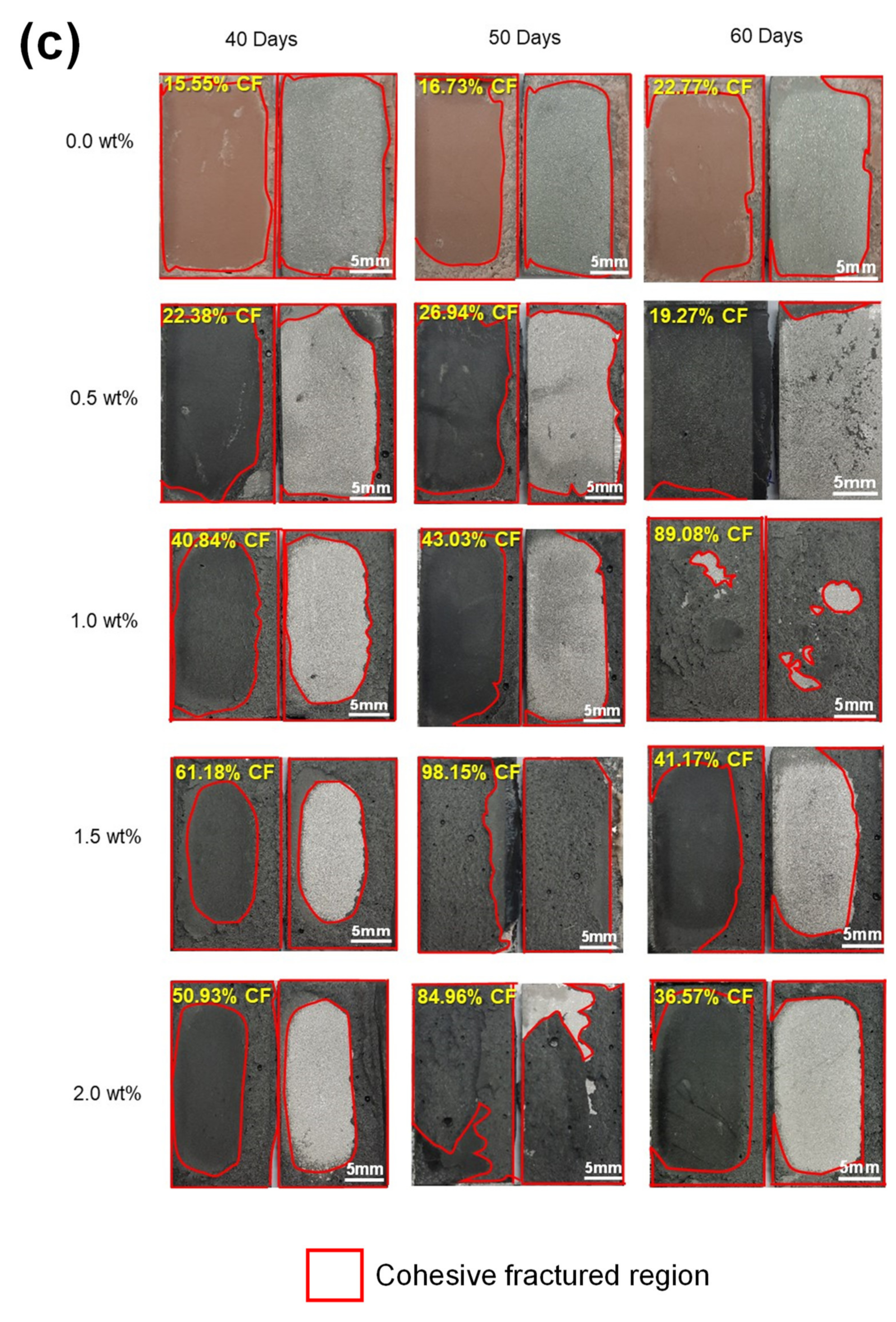 Polymers 13 01850 g008c