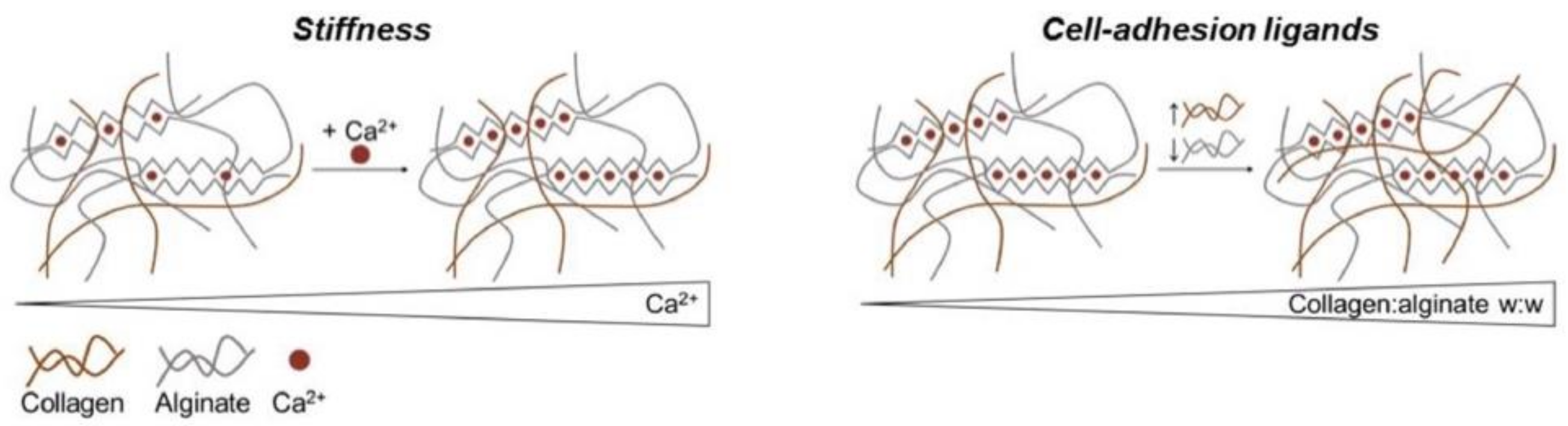 Polymers 13 01852 g004 Polymers 13 01852 g004