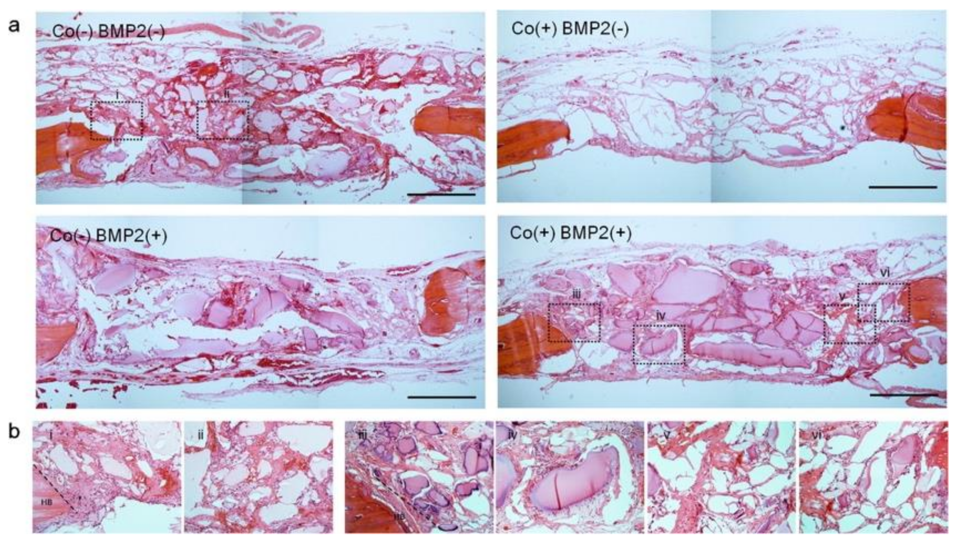 Polymers 13 01852 g005 Polymers 13 01852 g005