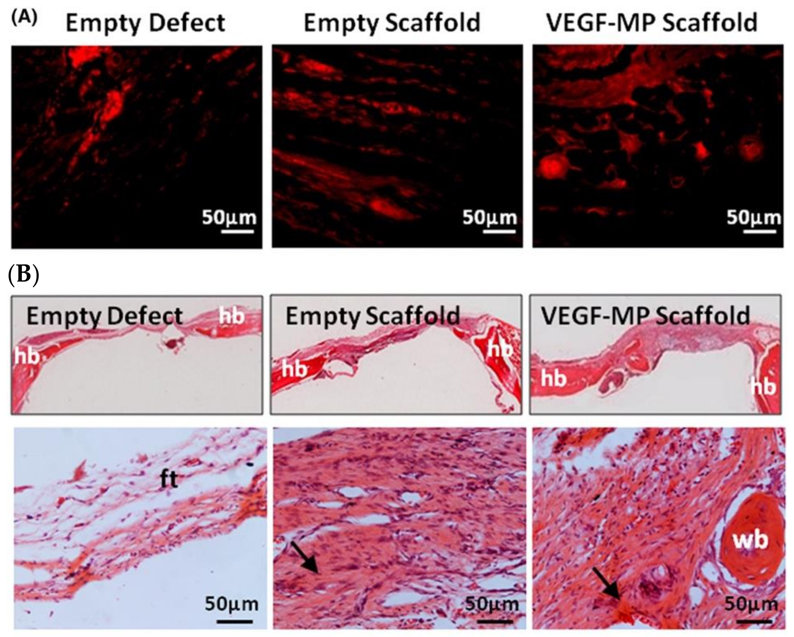 Polymers 13 01852 g008 Polymers 13 01852 g008