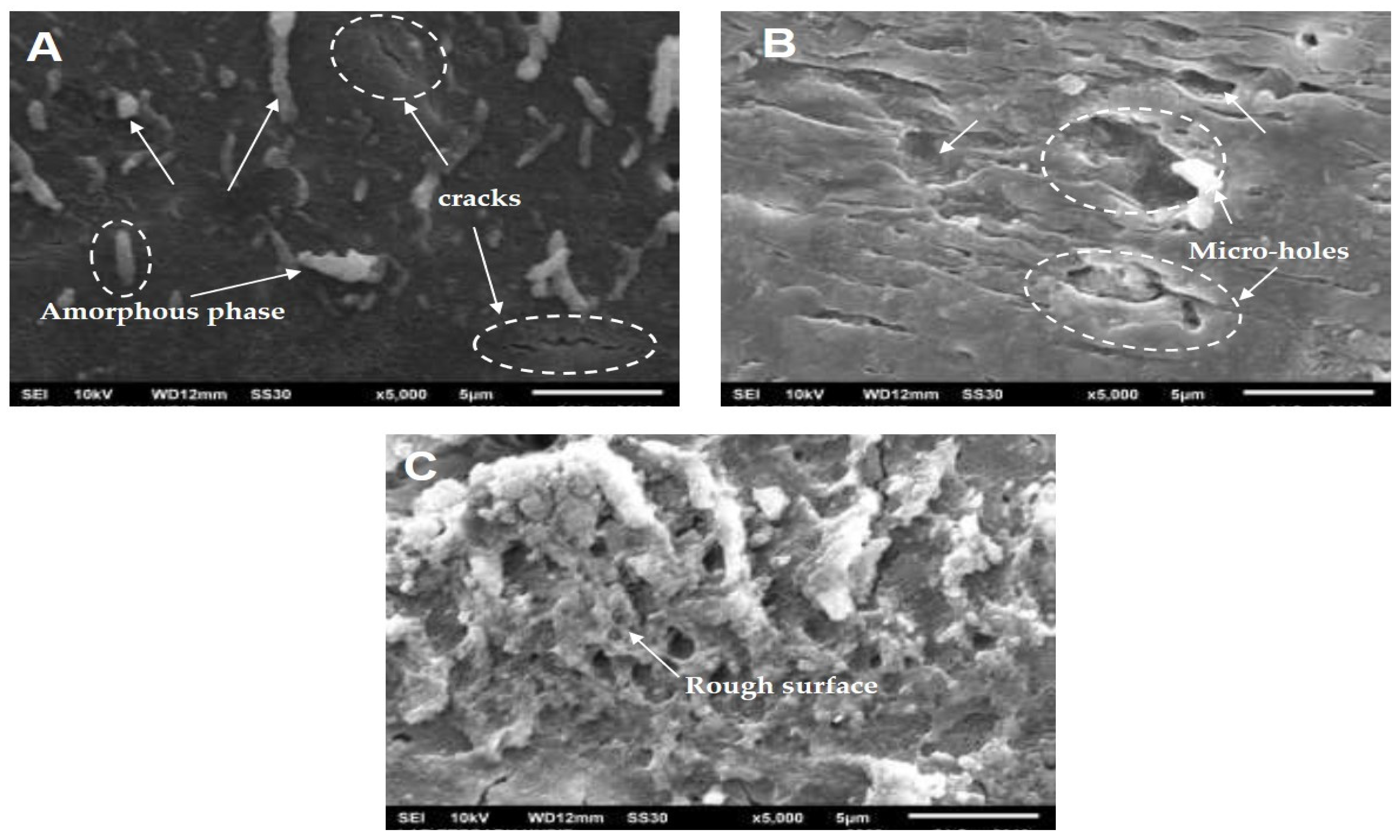 Polymers 13 01856 g005 Polymers 13 01856 g005