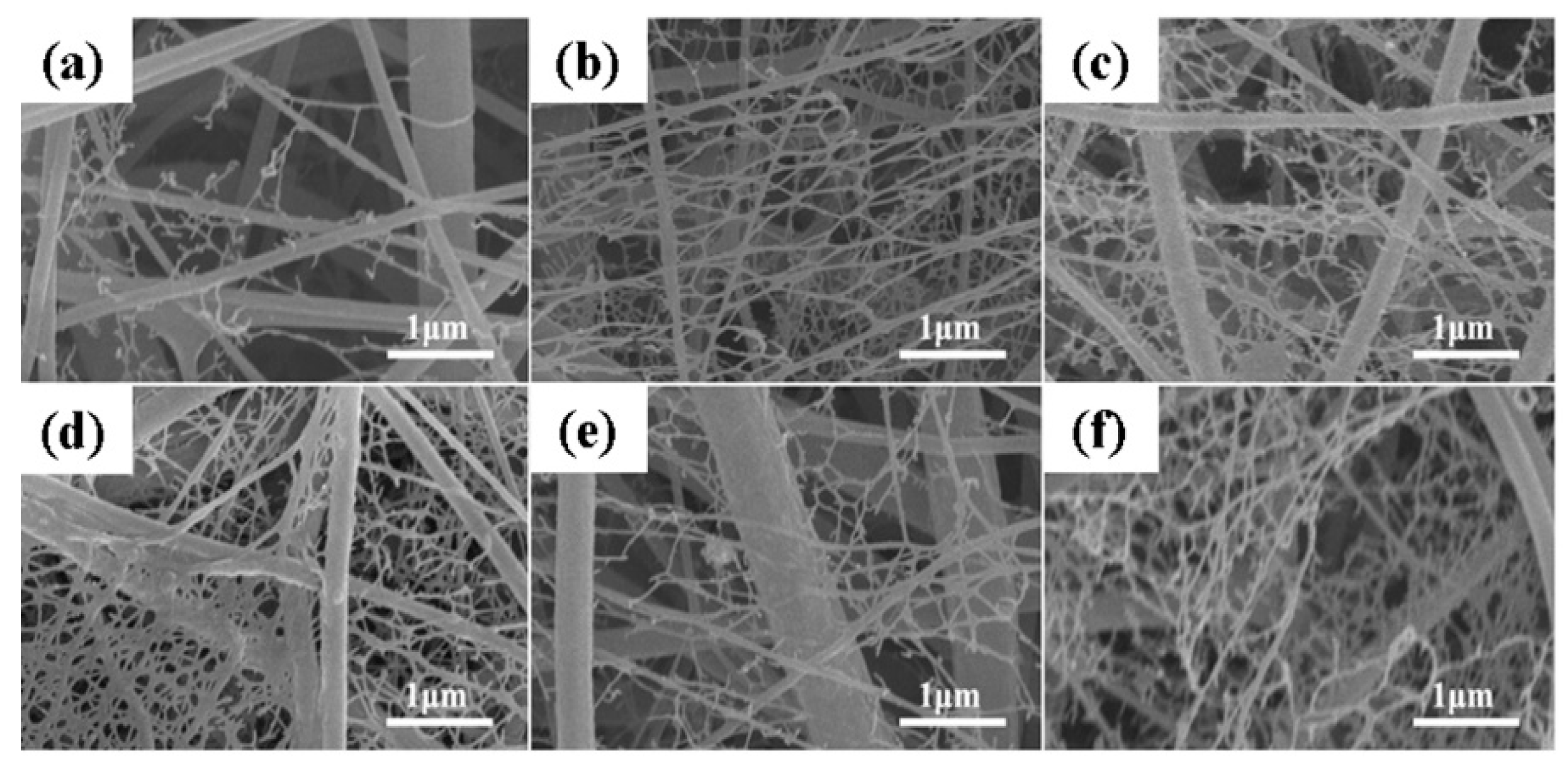 Polymers 13 01864 g007 Polymers 13 01864 g007