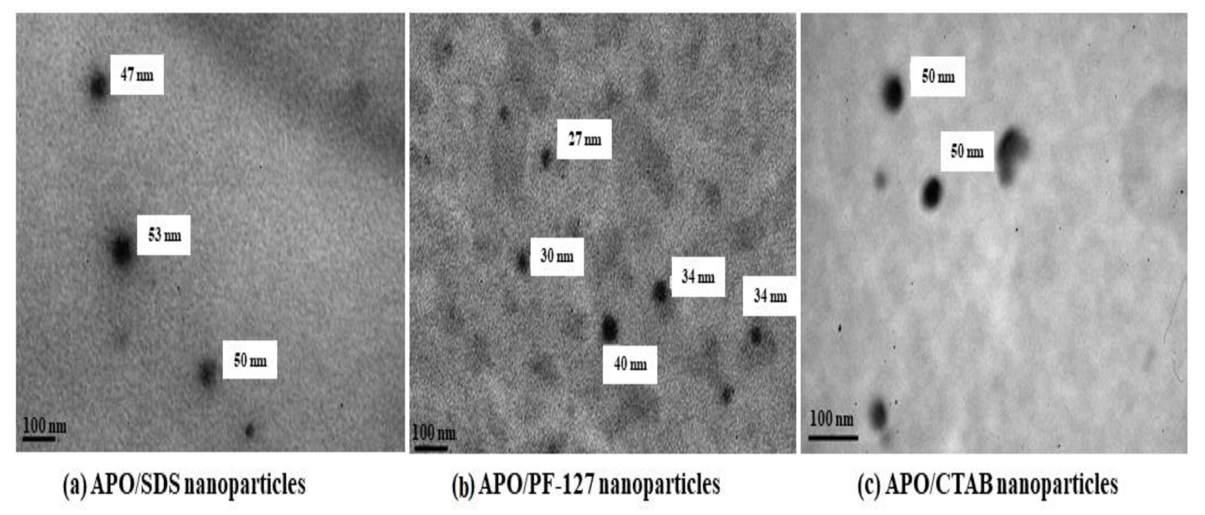 Polymers 13 01865 g011 Polymers 13 01865 g011