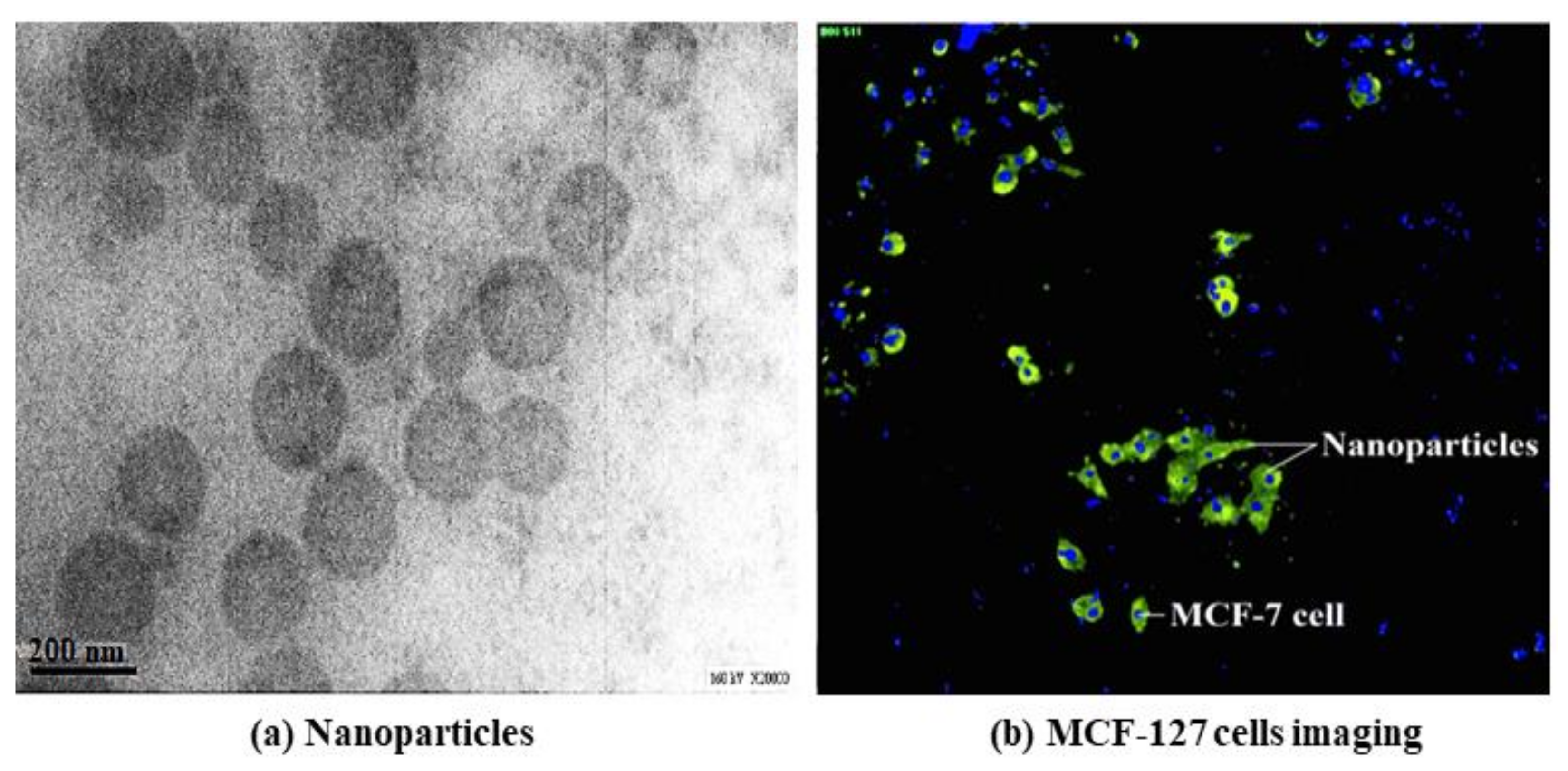 Polymers 13 01865 g013 Polymers 13 01865 g013