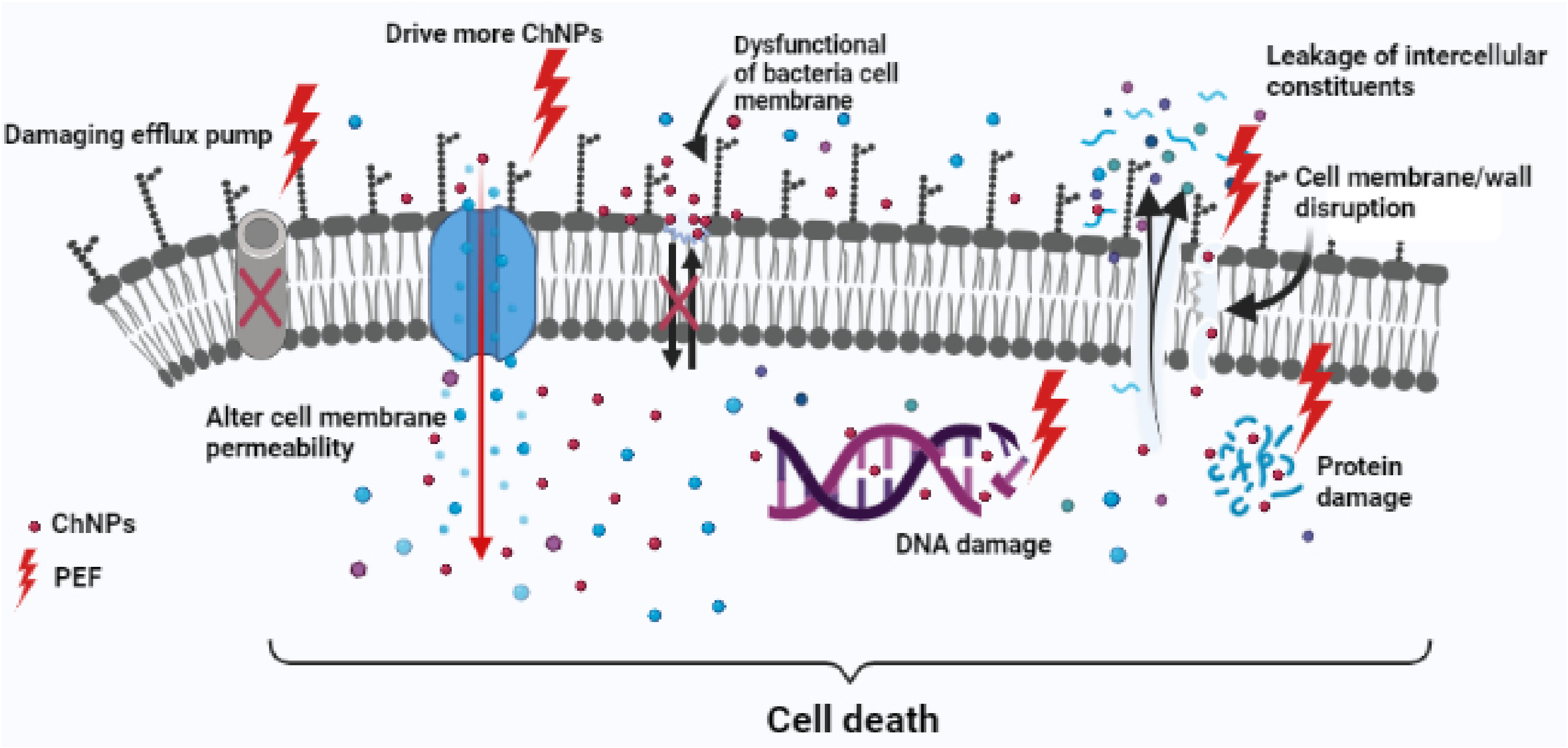 Polymers 13 01869 g012 Polymers 13 01869 g012