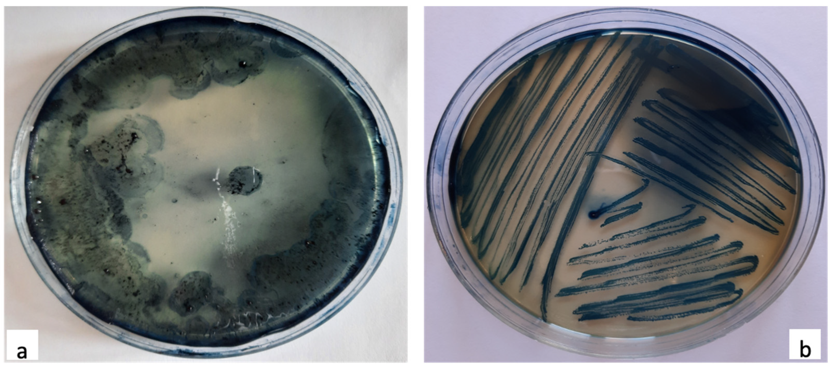Polymers 13 01870 g003 Polymers 13 01870 g003