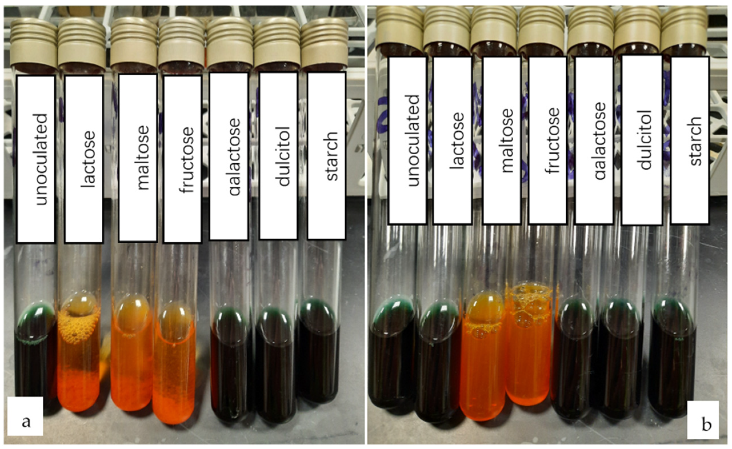 Polymers 13 01870 g008 Polymers 13 01870 g008