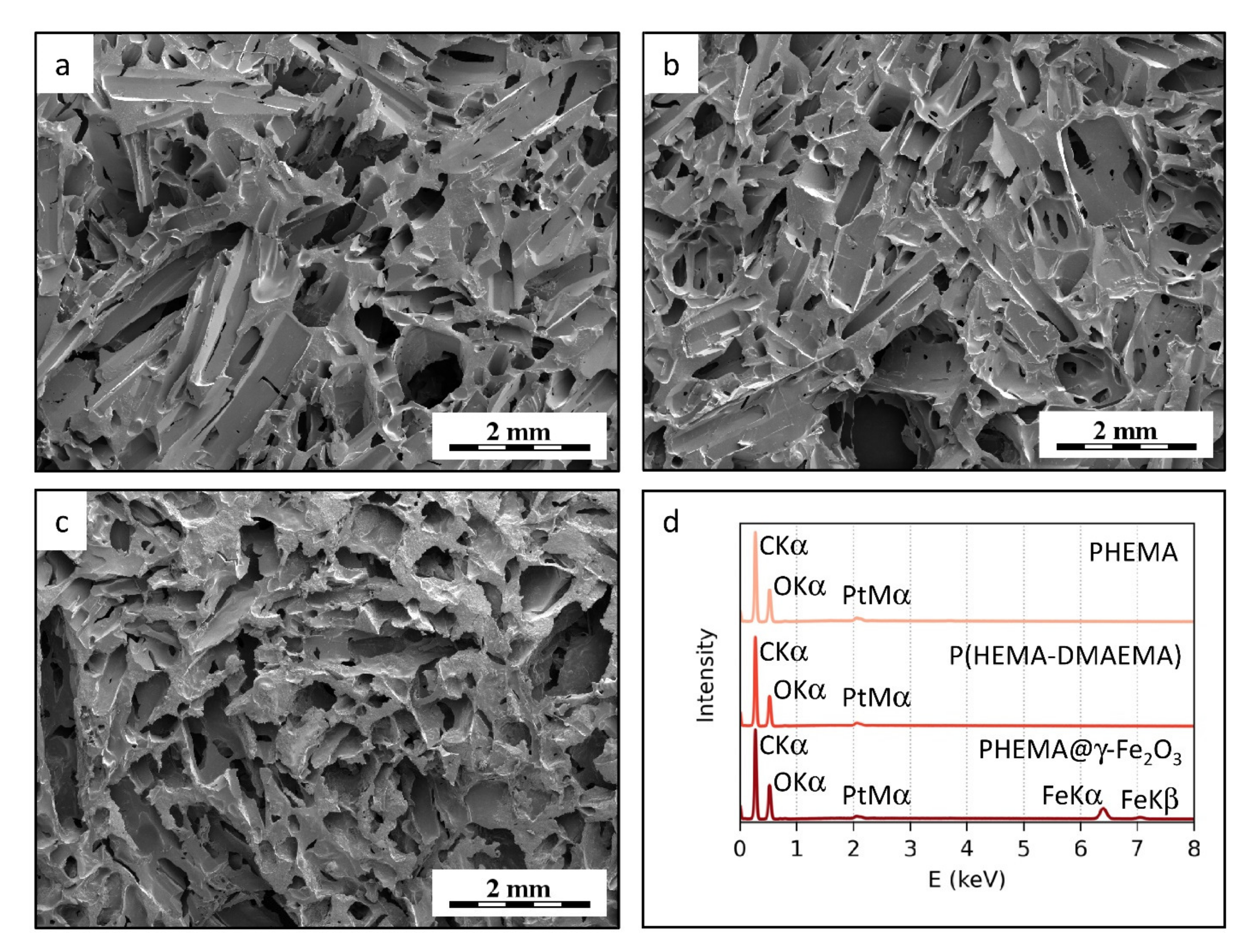 Polymers 13 01871 g002