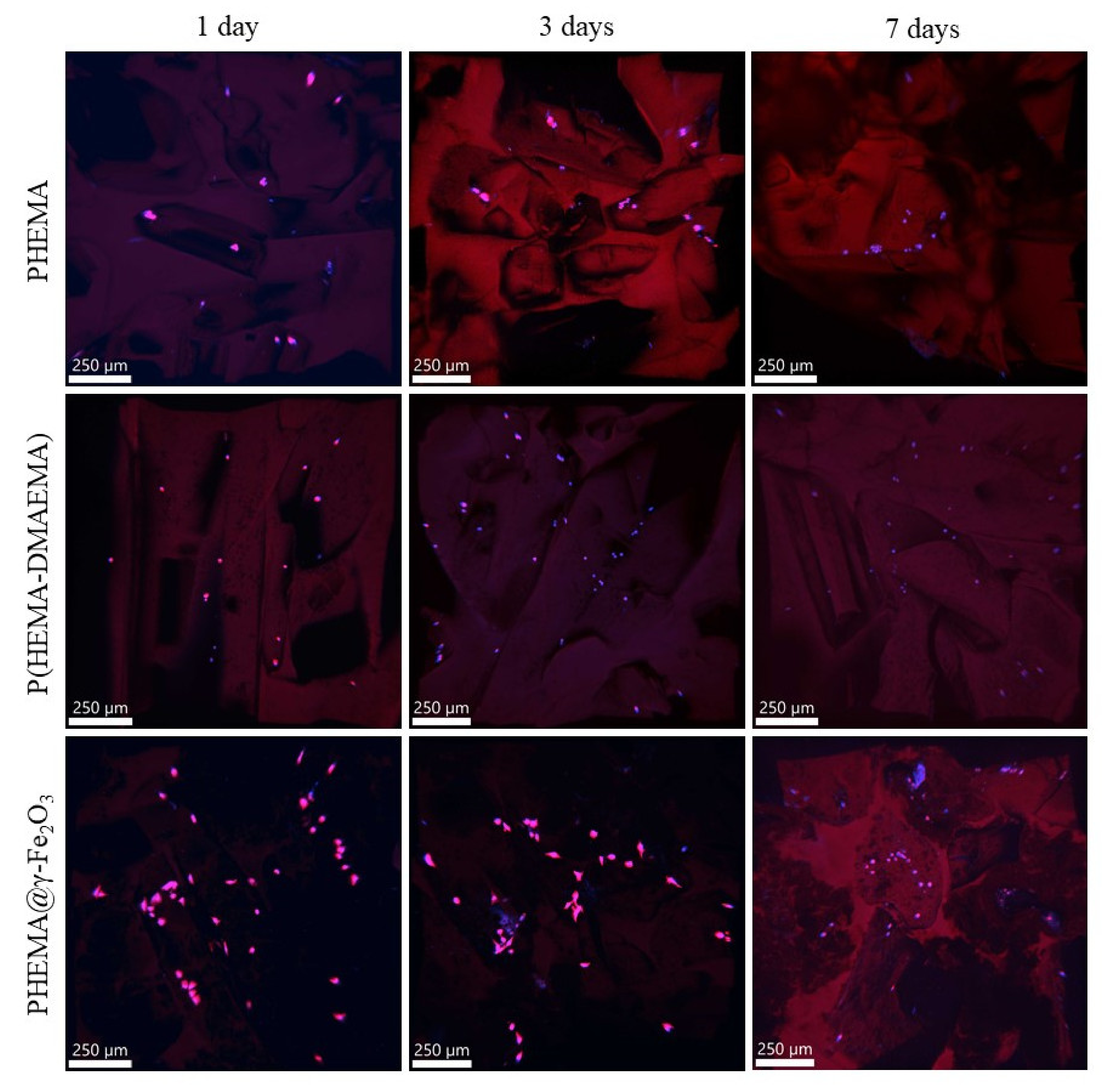 Polymers 13 01871 g006