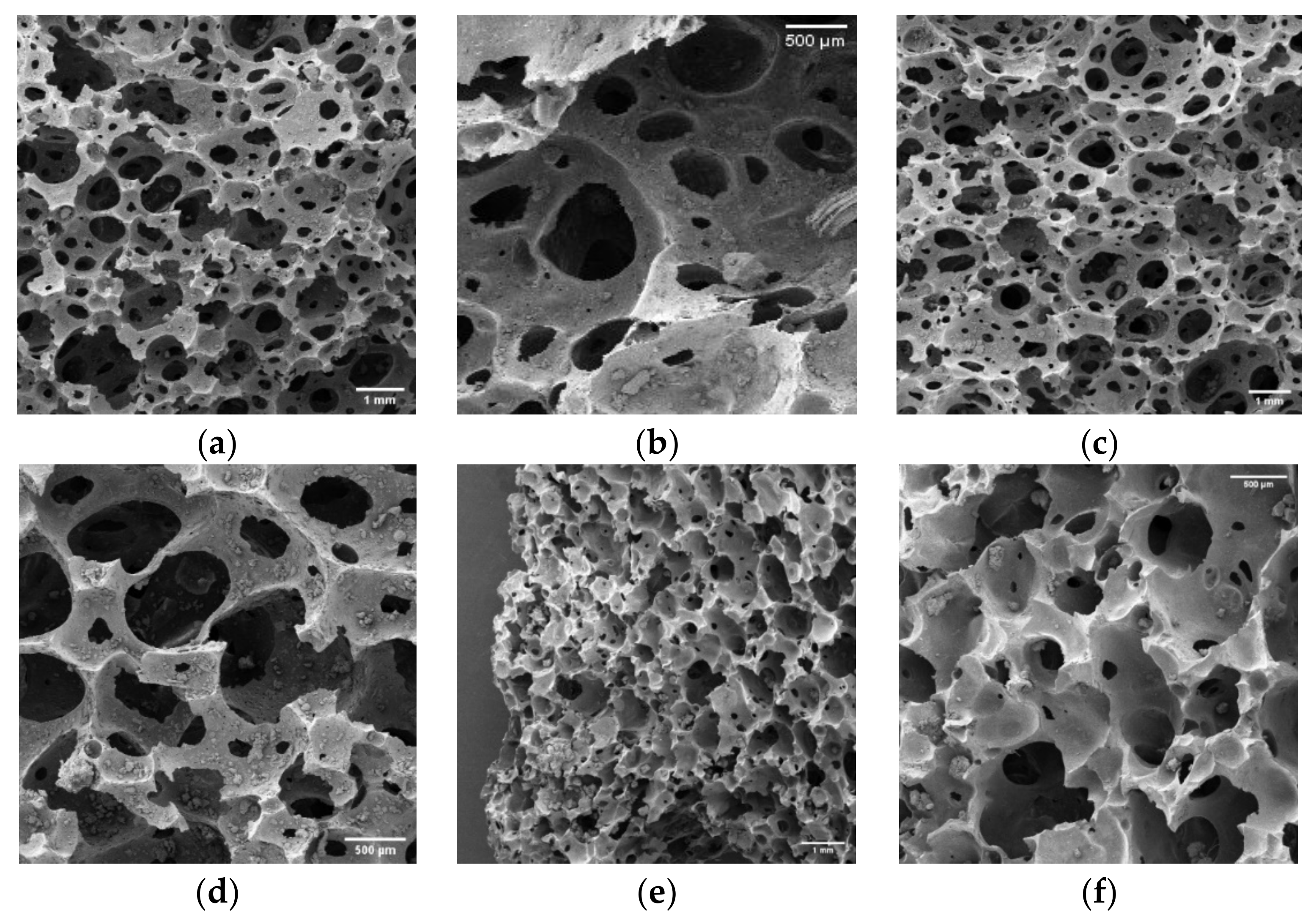 Polymers 13 01872 g014 Polymers 13 01872 g014