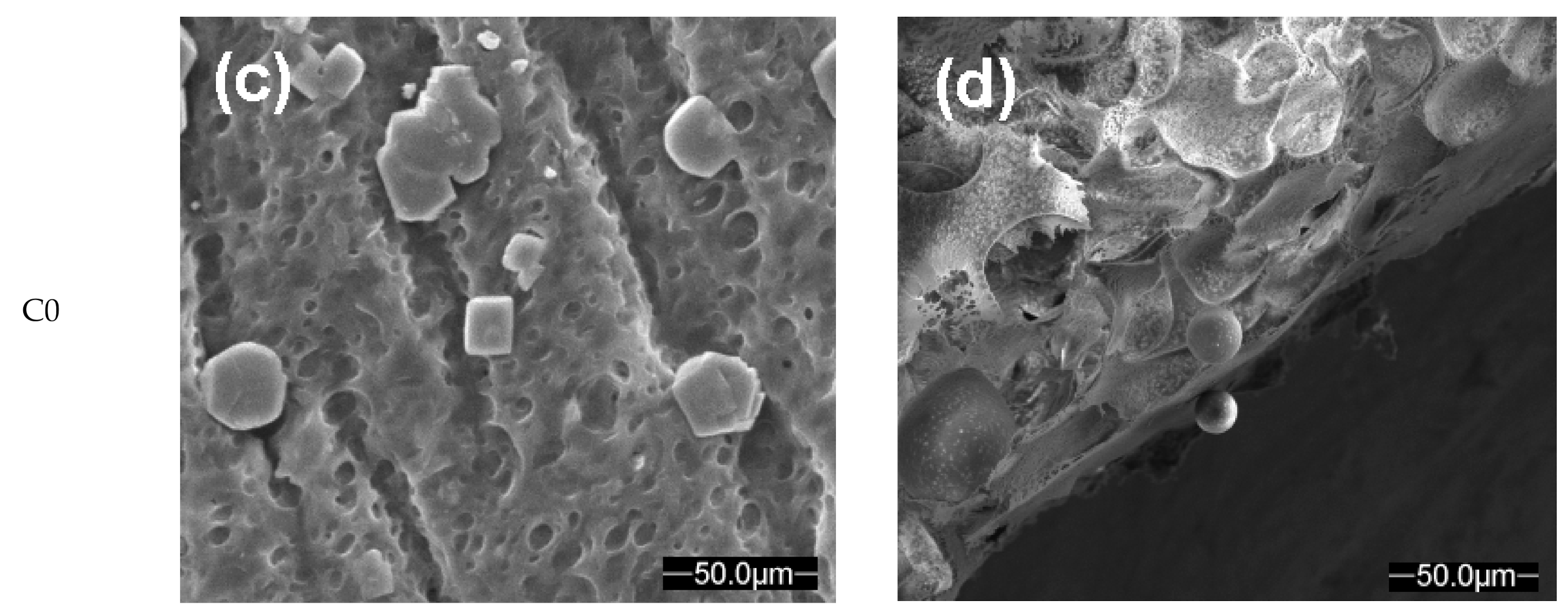 Polymers 13 01875 g006b