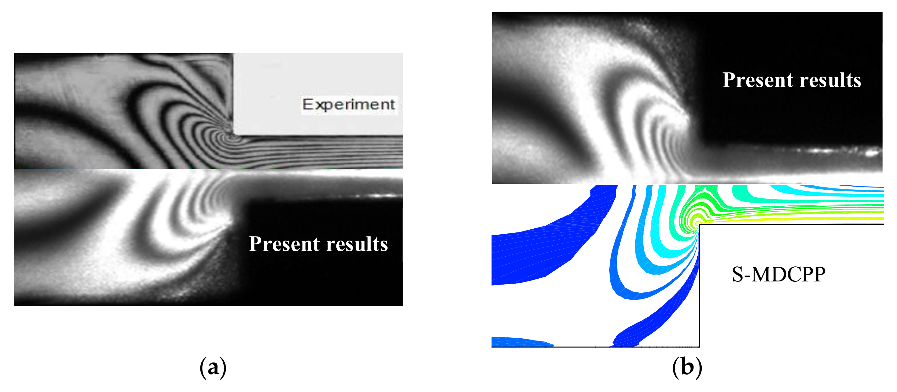 Polymers 13 01876 g004