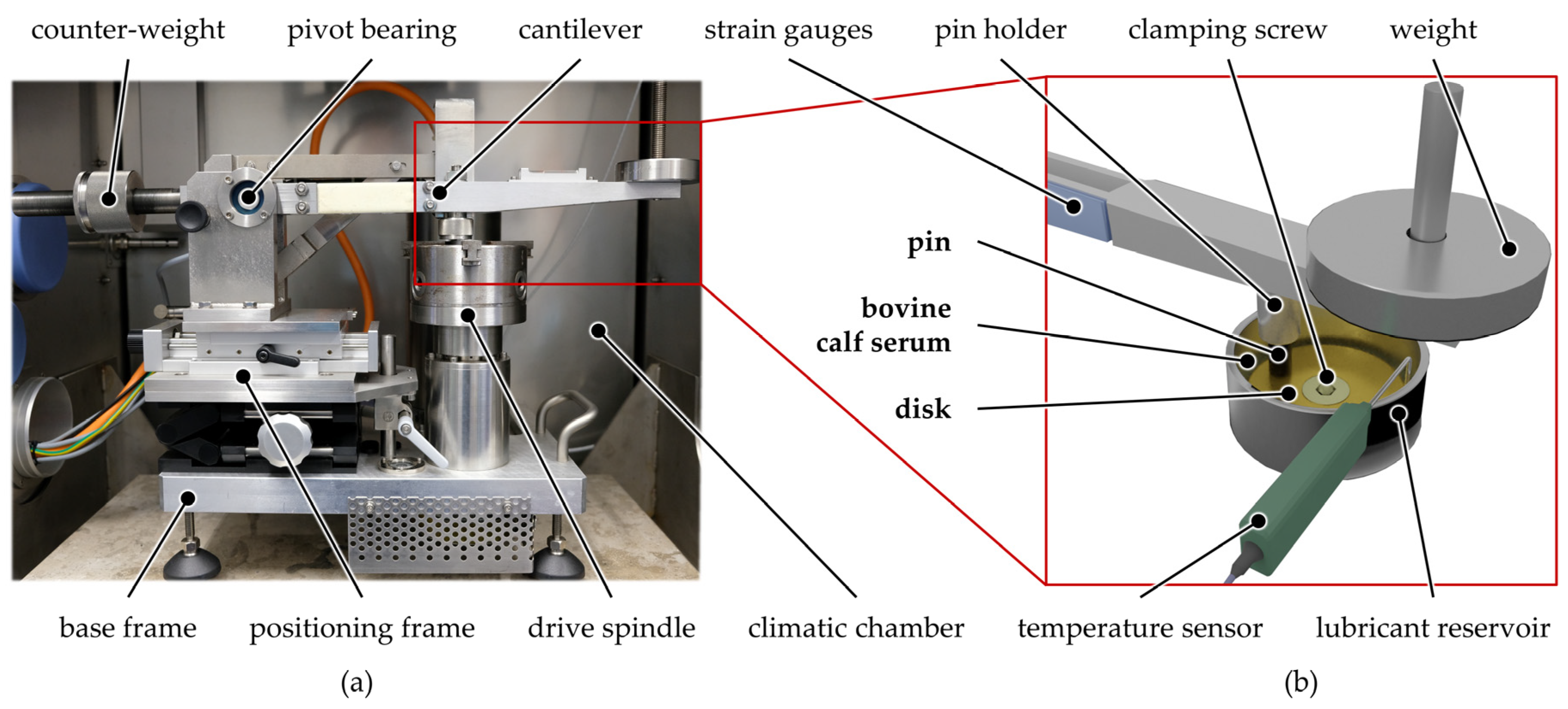 Polymers 13 01880 g001