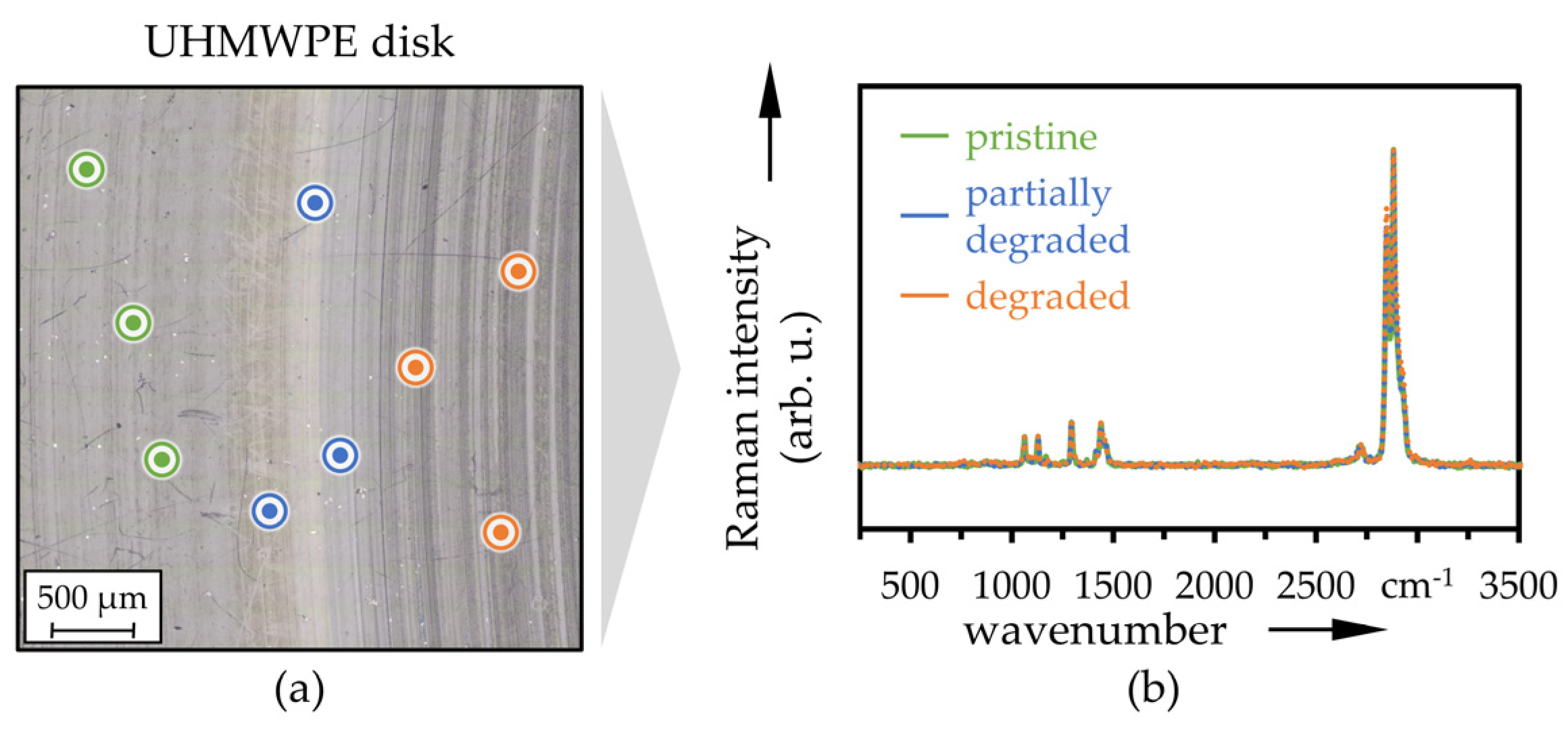Polymers 13 01880 g010