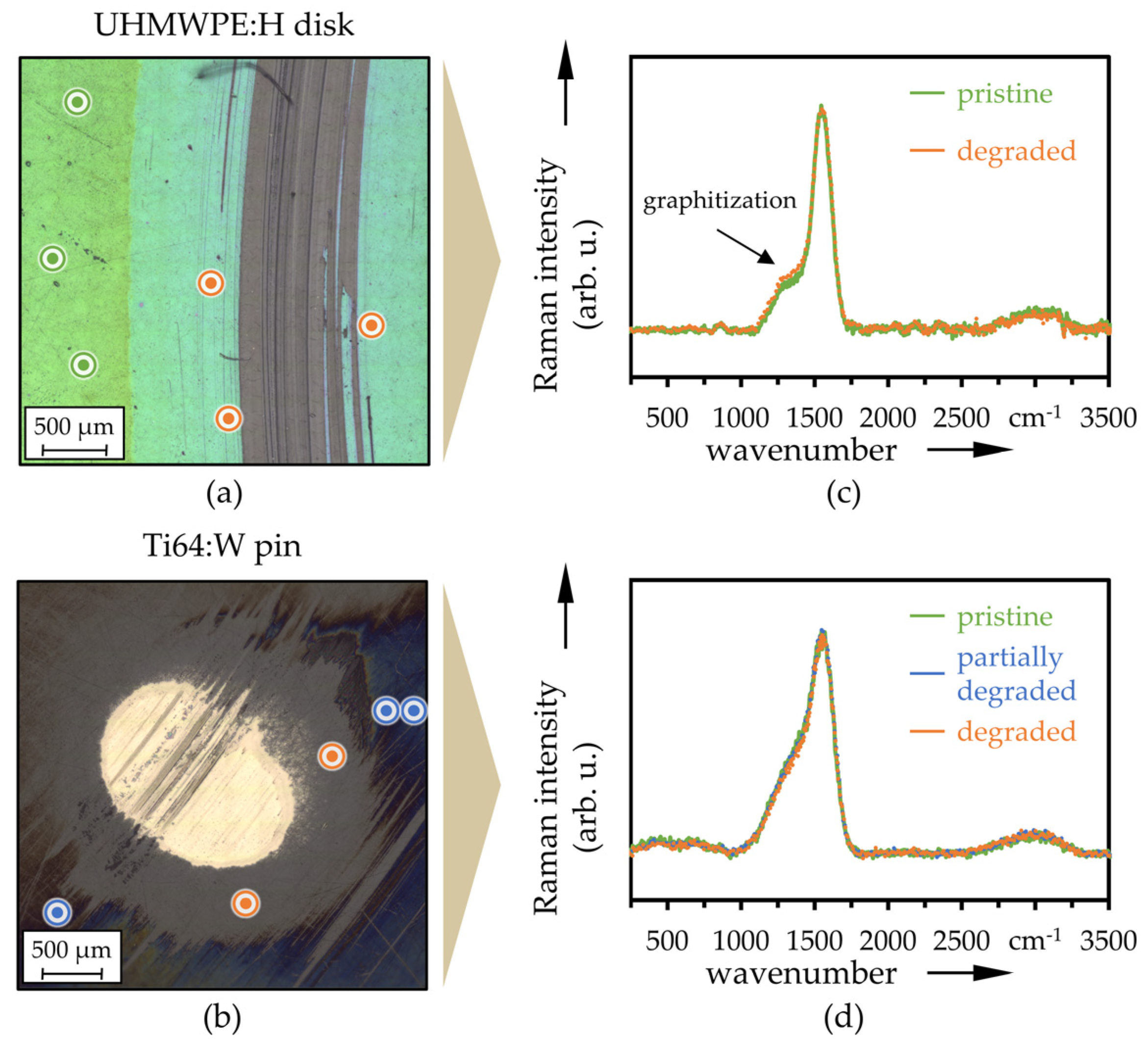 Polymers 13 01880 g012