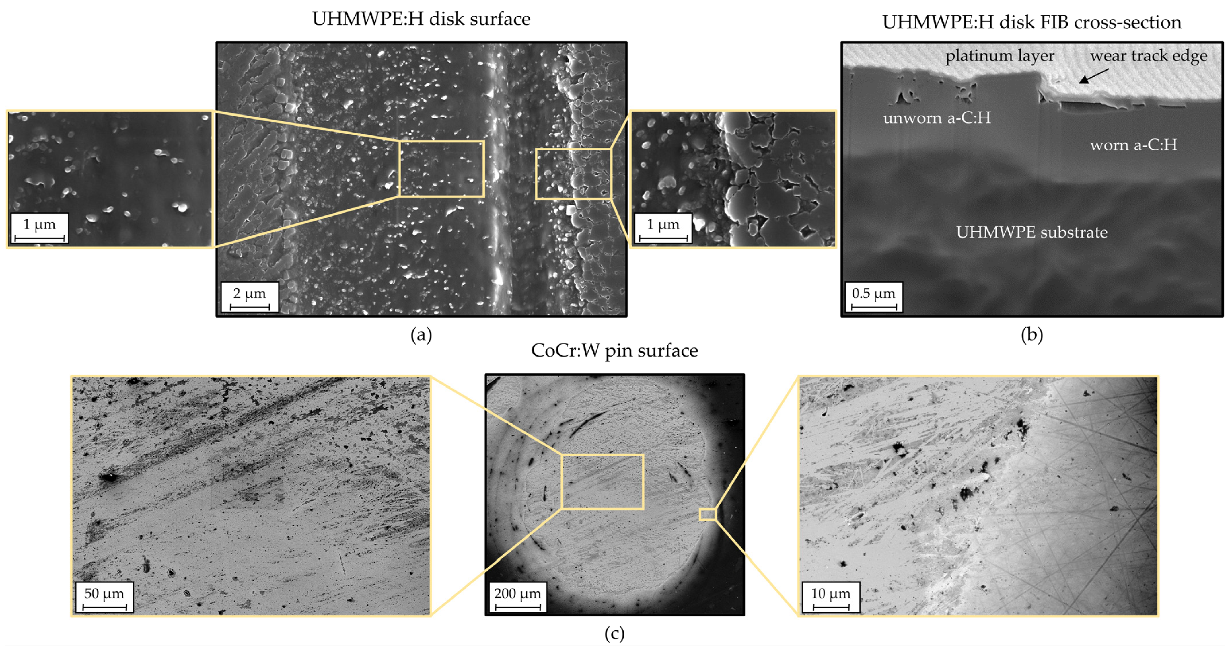 Polymers 13 01880 g013