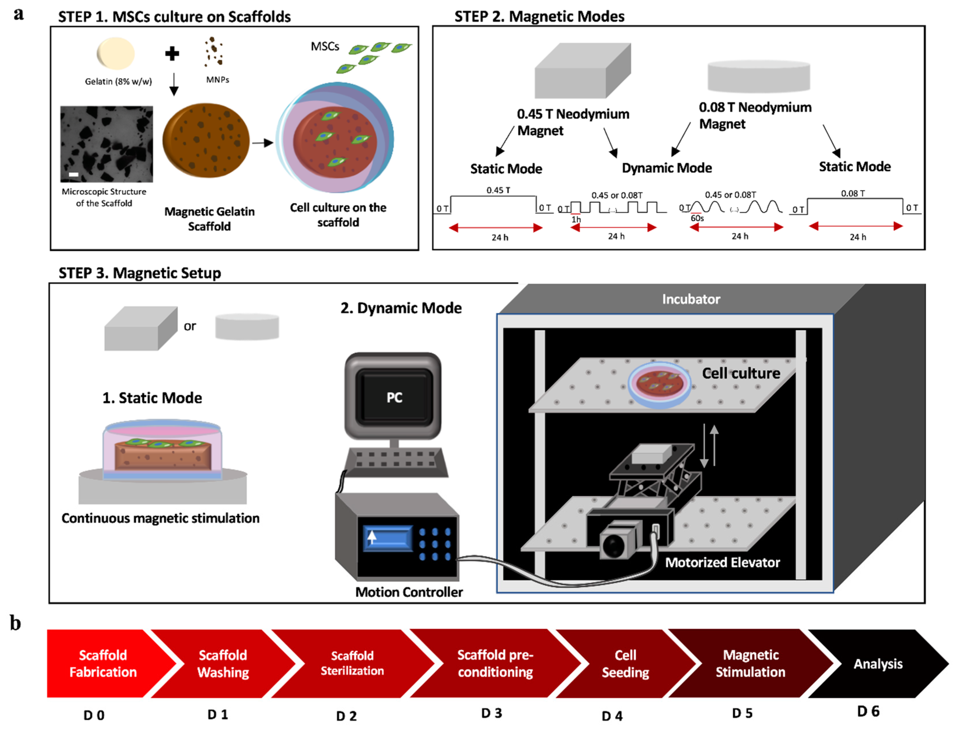 Polymers 13 01883 g001