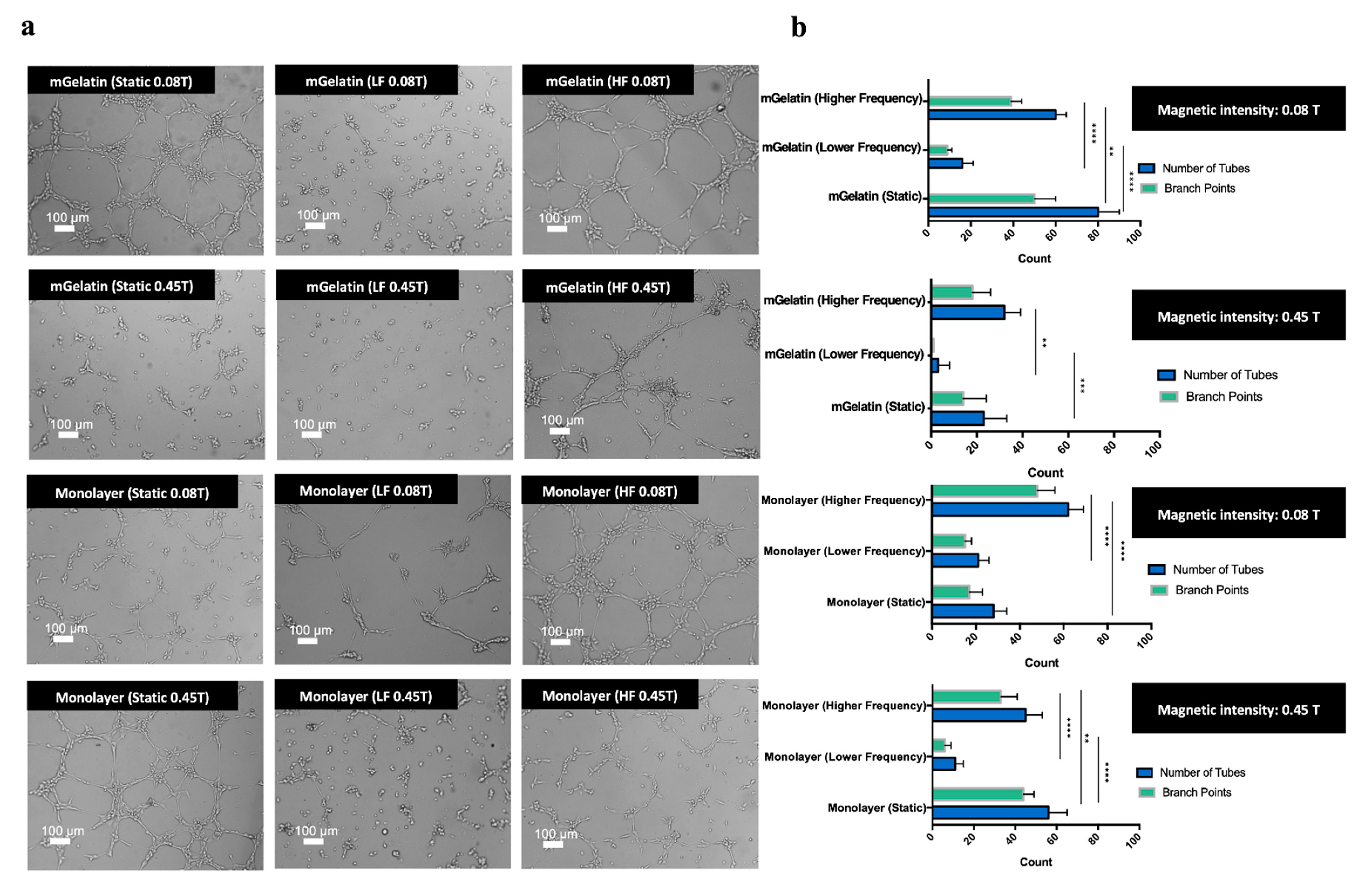 Polymers 13 01883 g006a