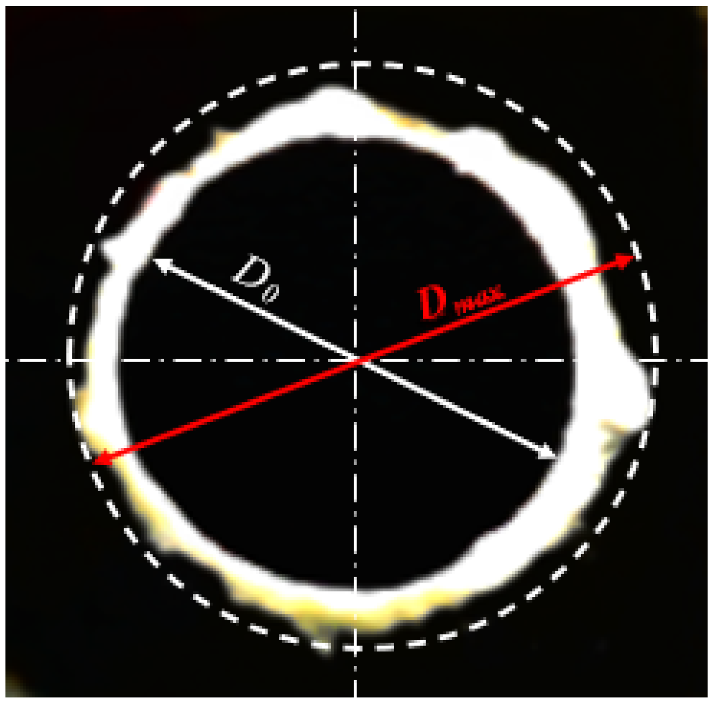 Polymers 13 01884 g002