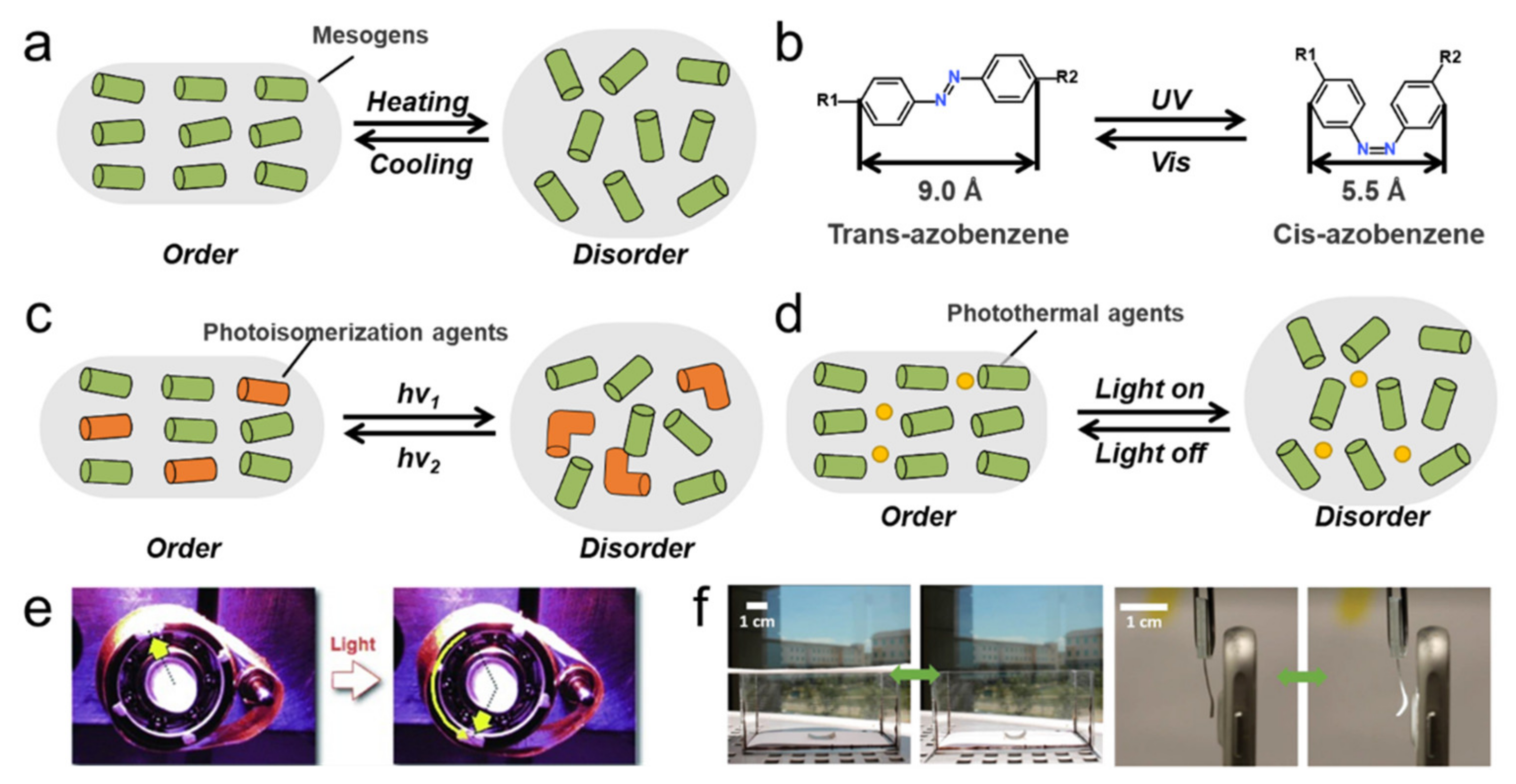 Polymers 13 01889 g004 Polymers 13 01889 g004