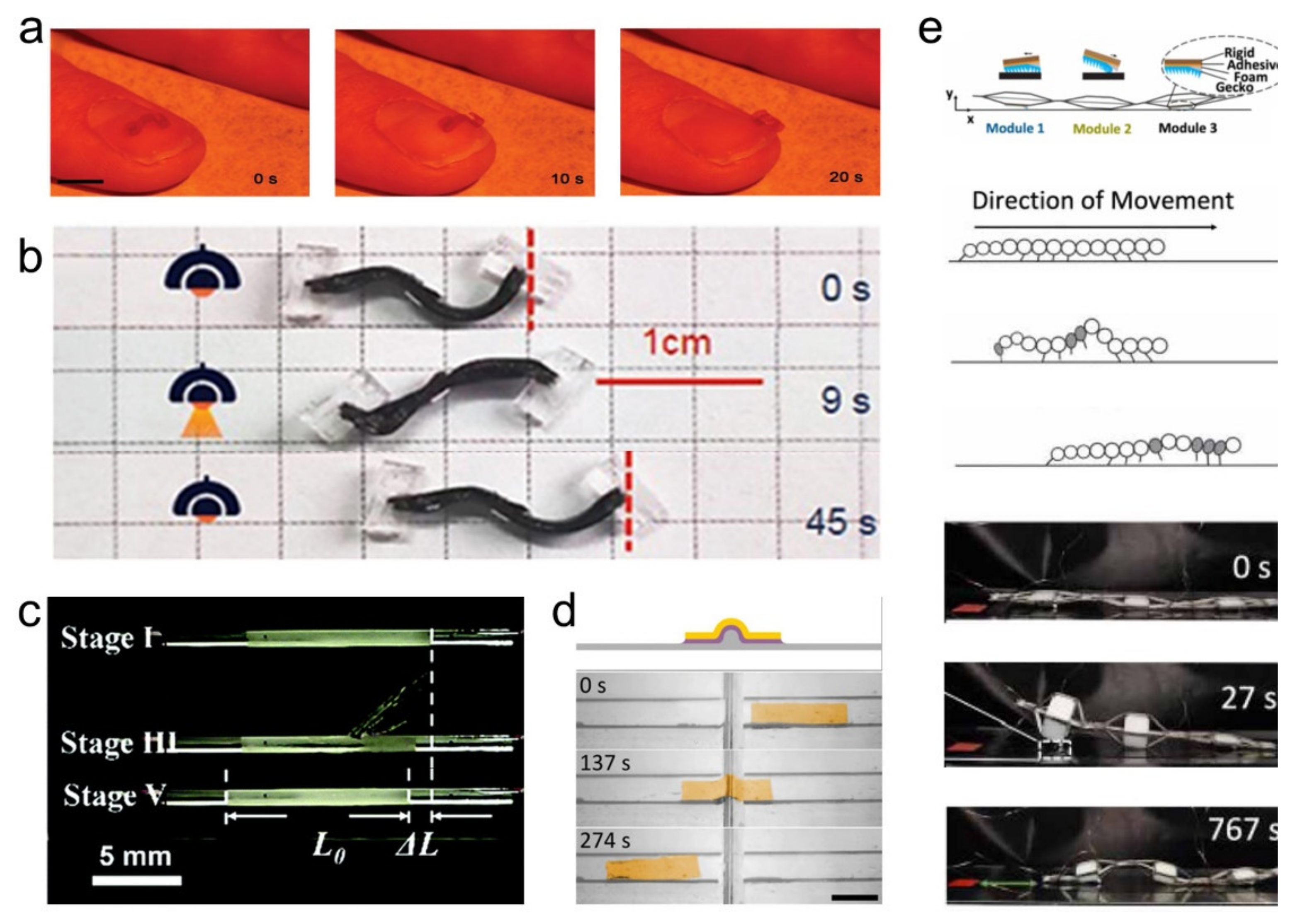 Polymers 13 01889 g006 Polymers 13 01889 g006