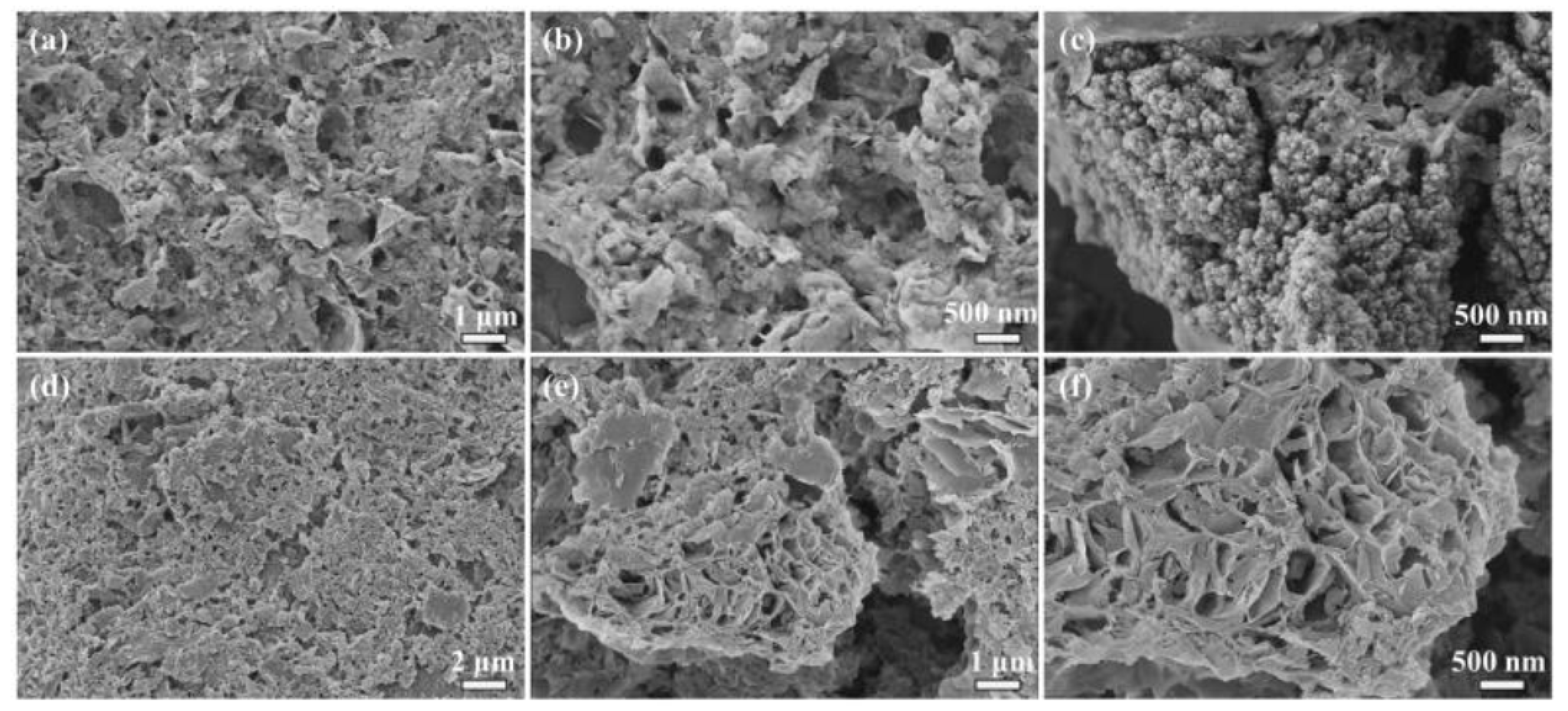 Polymers 13 01891 g003