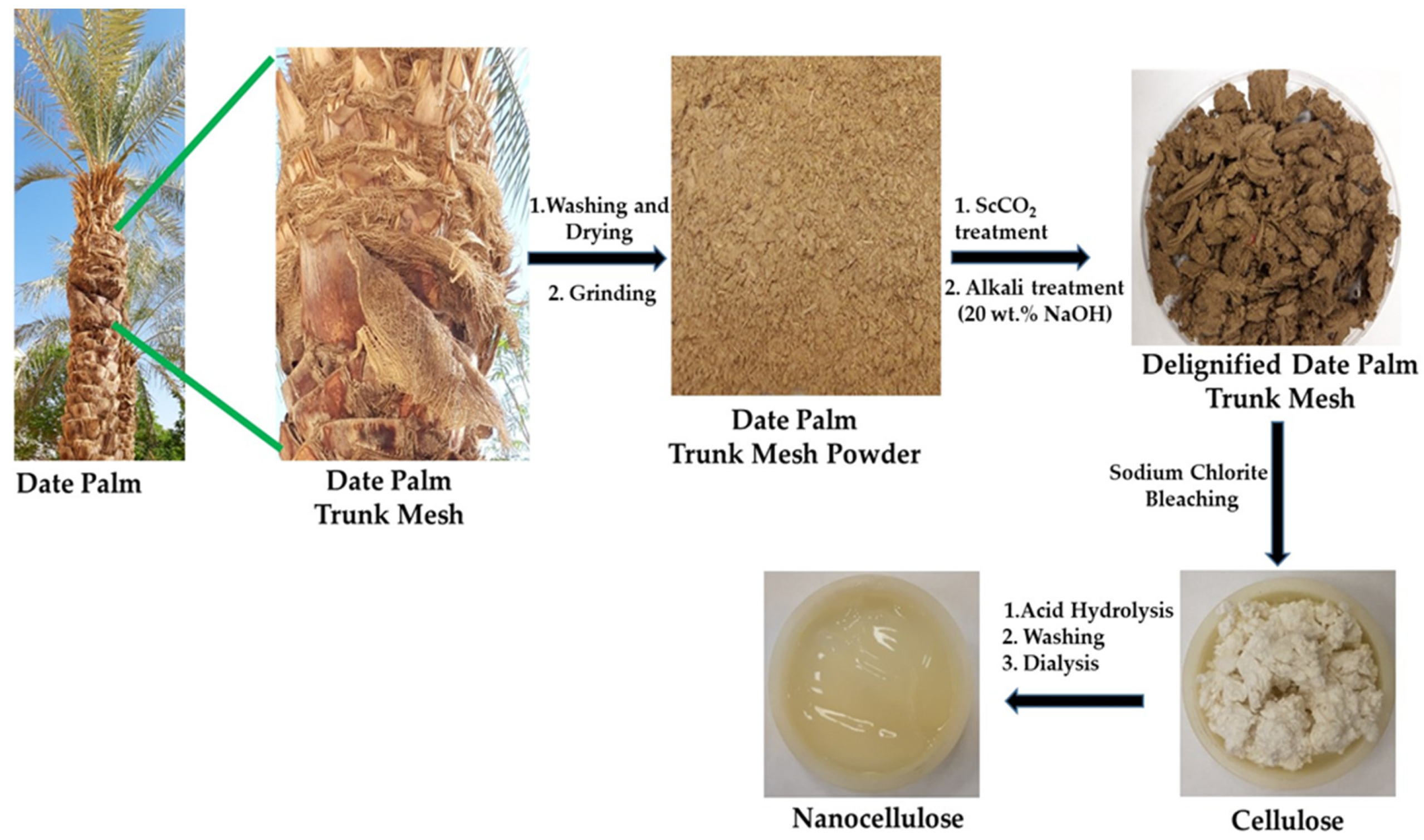 Polymers 13 01893 g001 Polymers 13 01893 g001