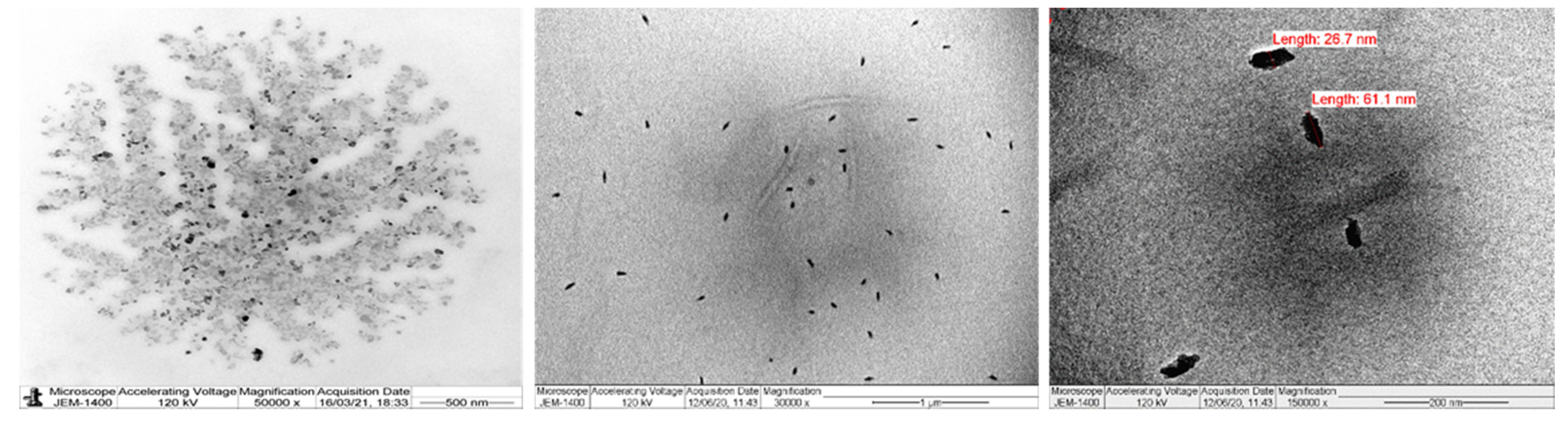 Polymers 13 01893 g007 Polymers 13 01893 g007