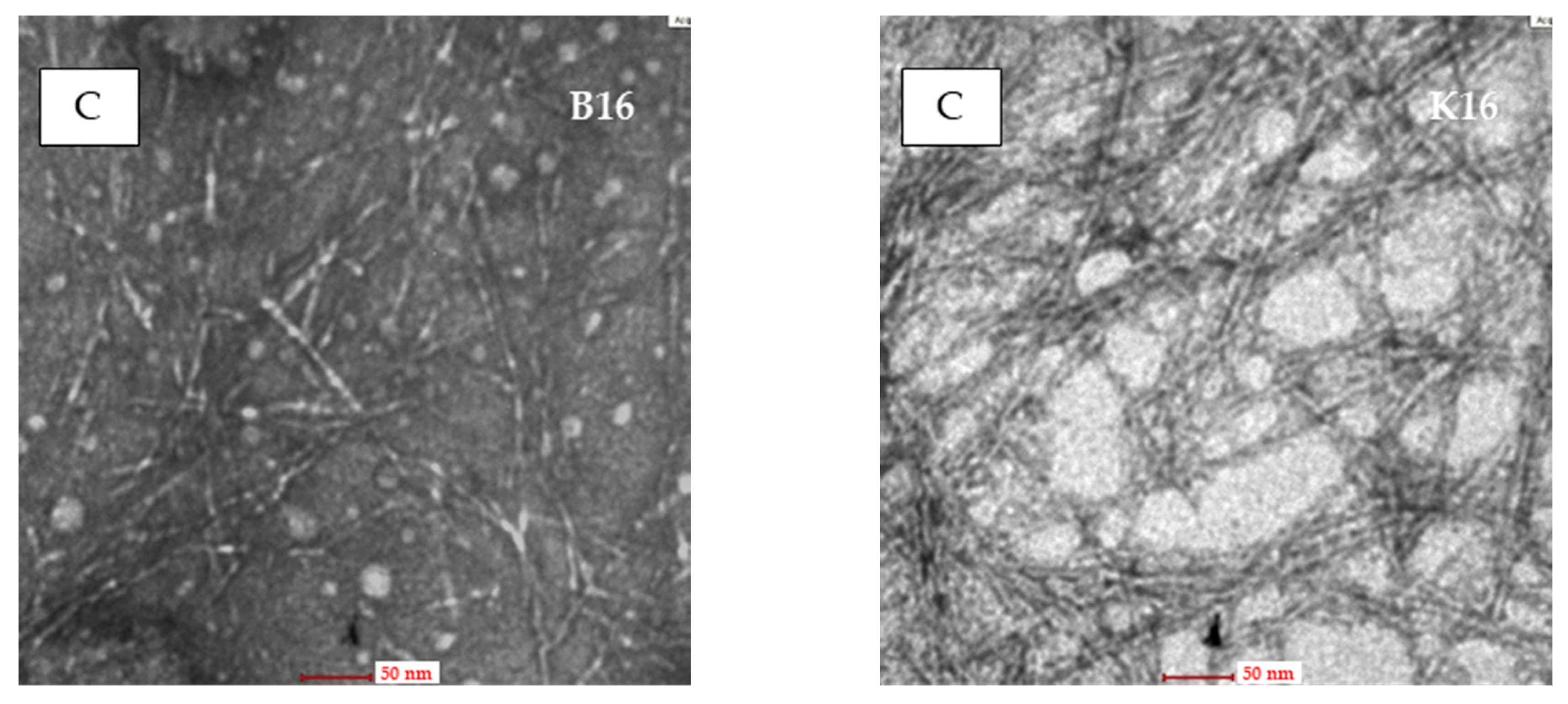 Polymers 13 01894 g003b Polymers 13 01894 g003b