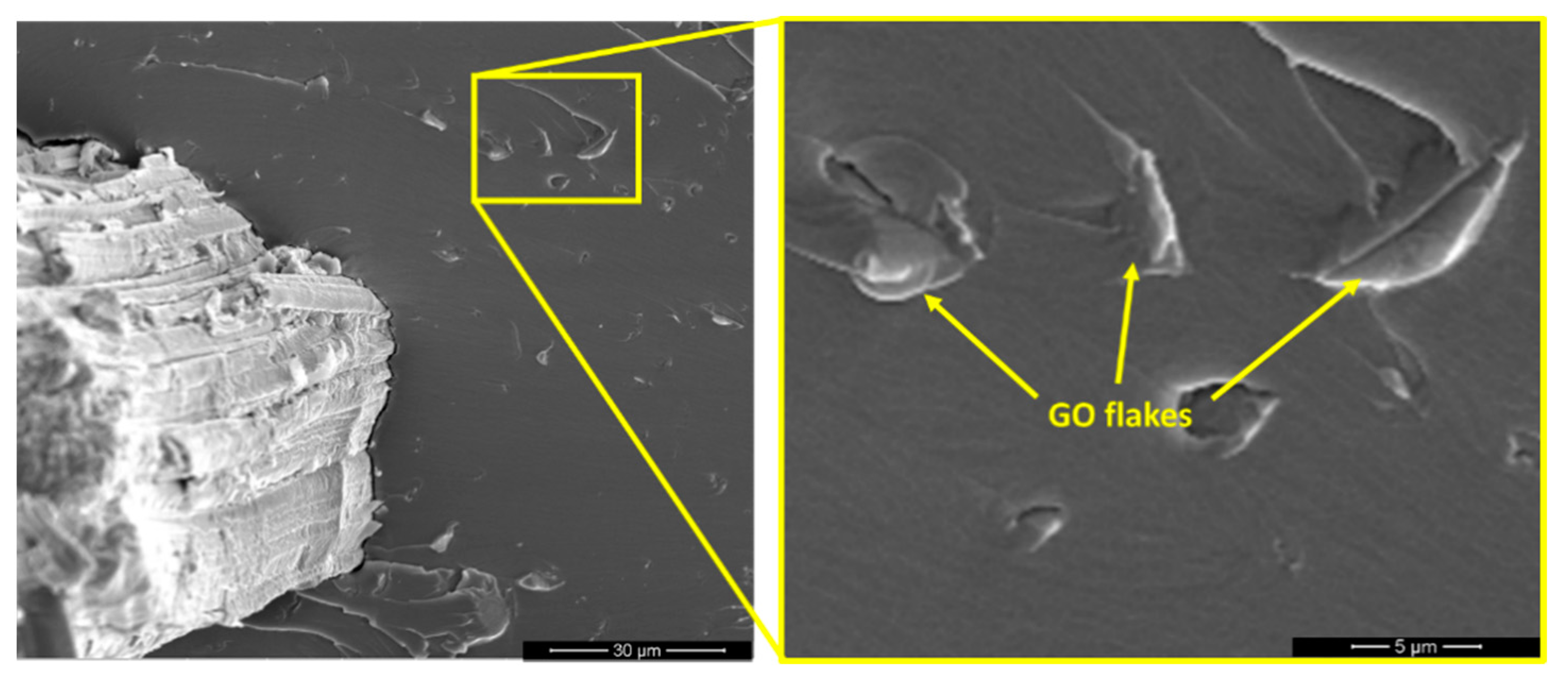 Polymers 13 01897 g006 Polymers 13 01897 g006