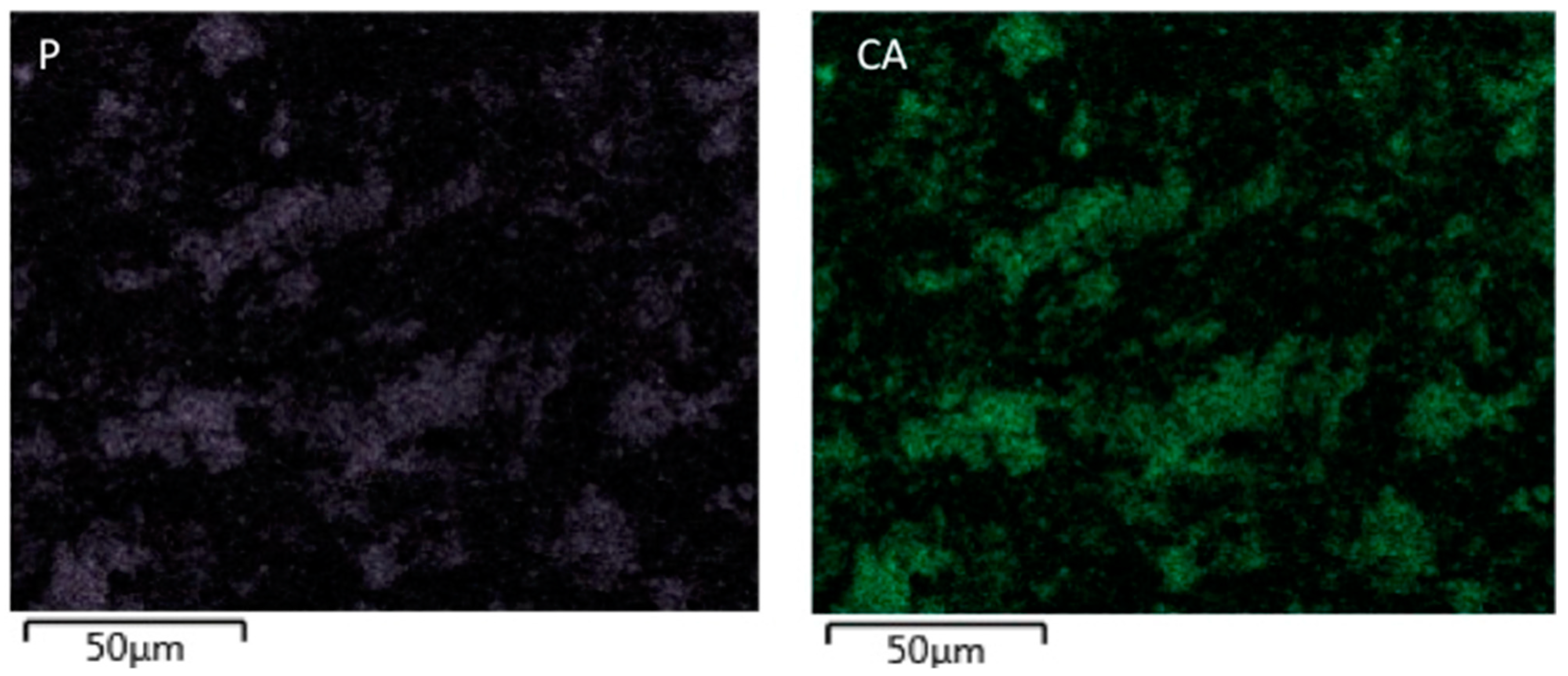 Polymers 13 01903 g002 Polymers 13 01903 g002