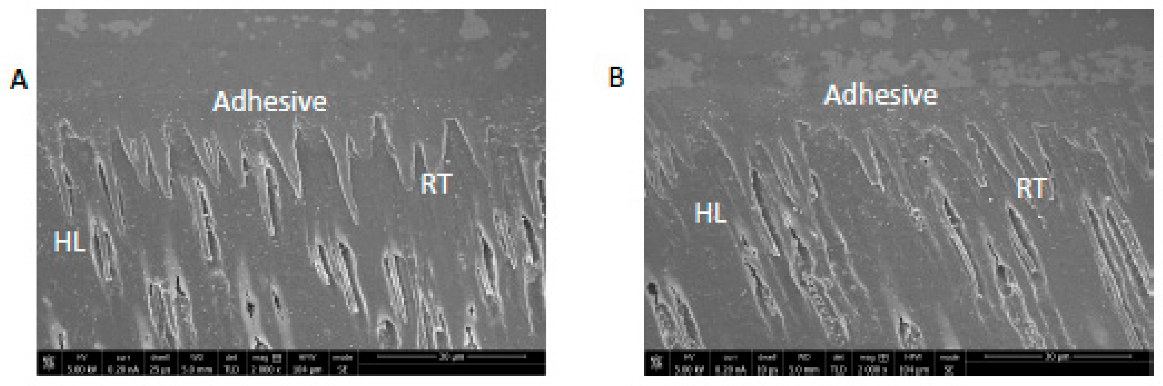 Polymers 13 01903 g003a Polymers 13 01903 g003a