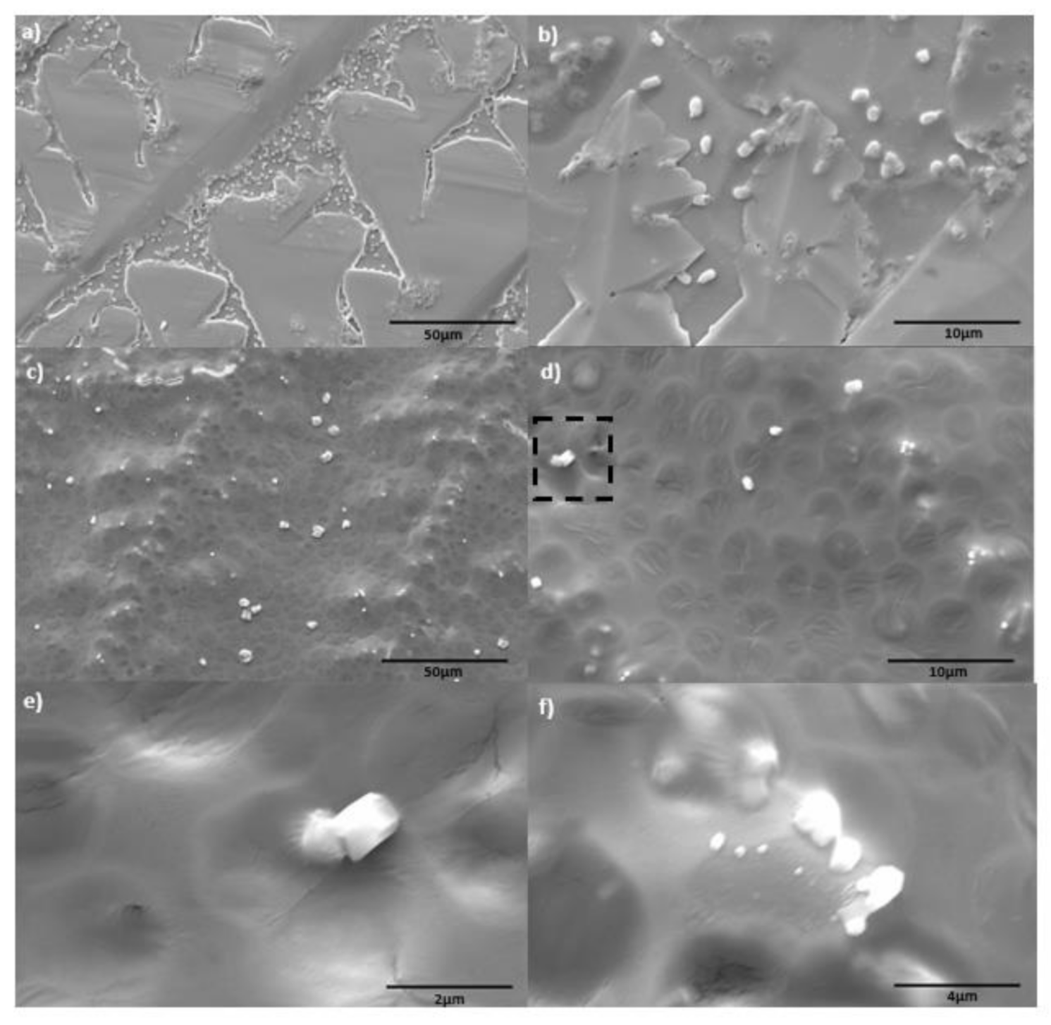 Polymers 13 01905 g004 Polymers 13 01905 g004