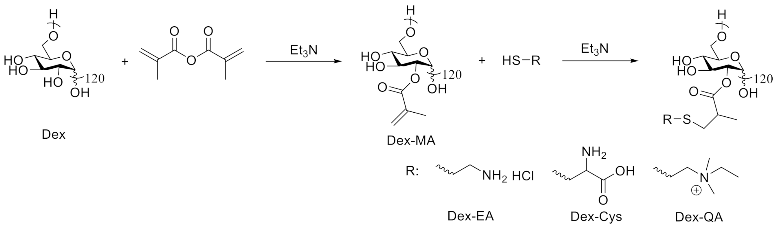 Polymers 13 01905 sch001 Polymers 13 01905 sch001