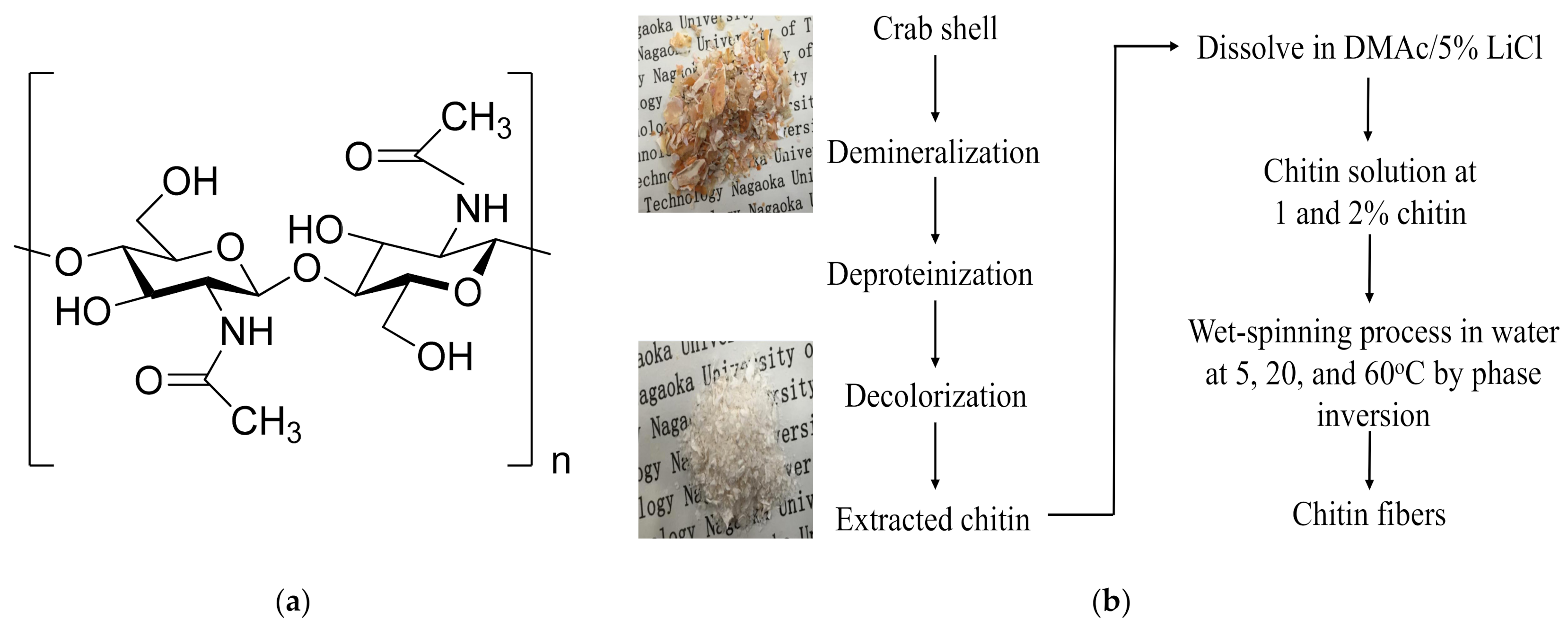 Polymers 13 01909 g001 Polymers 13 01909 g001