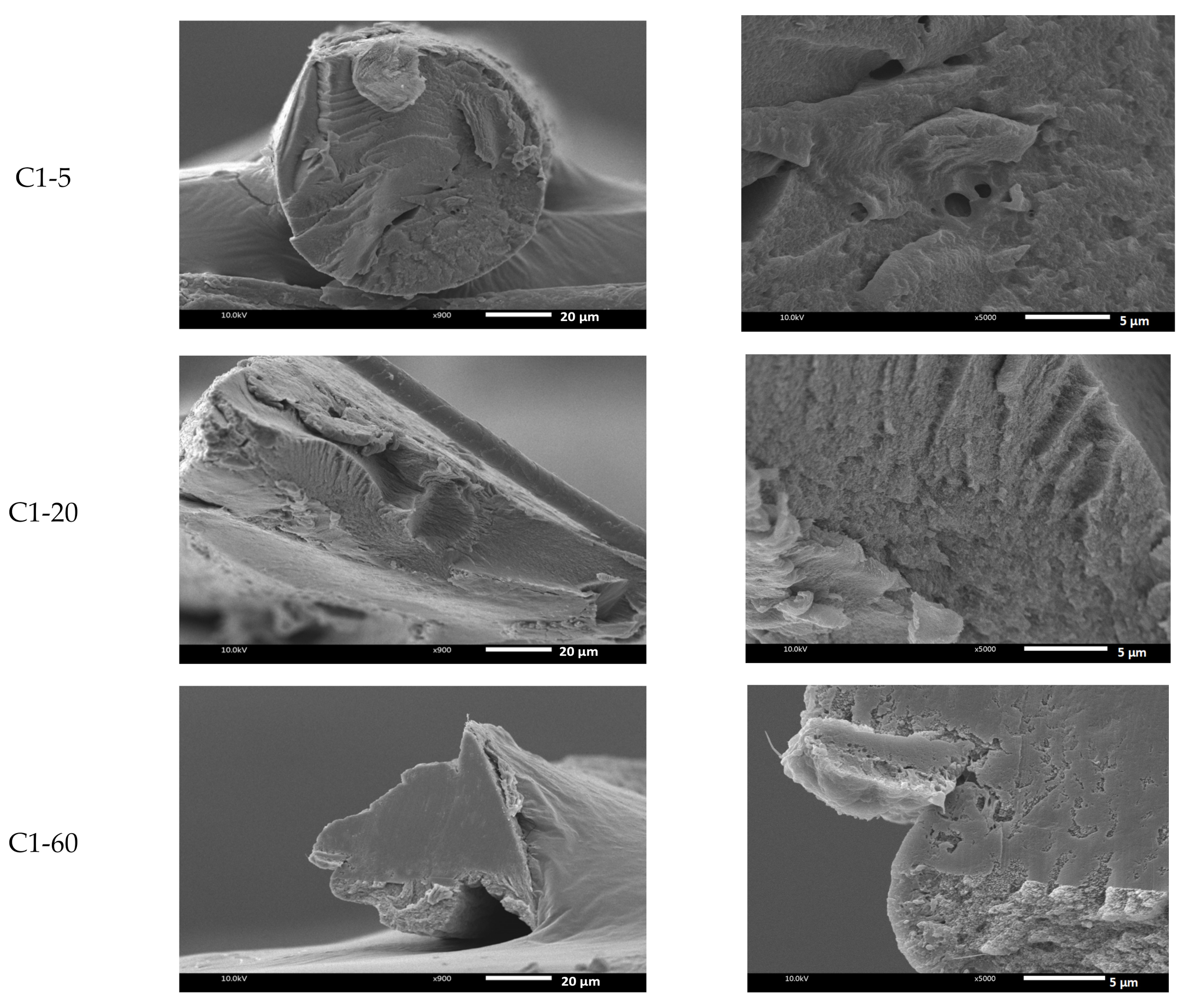 Polymers 13 01909 g004a Polymers 13 01909 g004a
