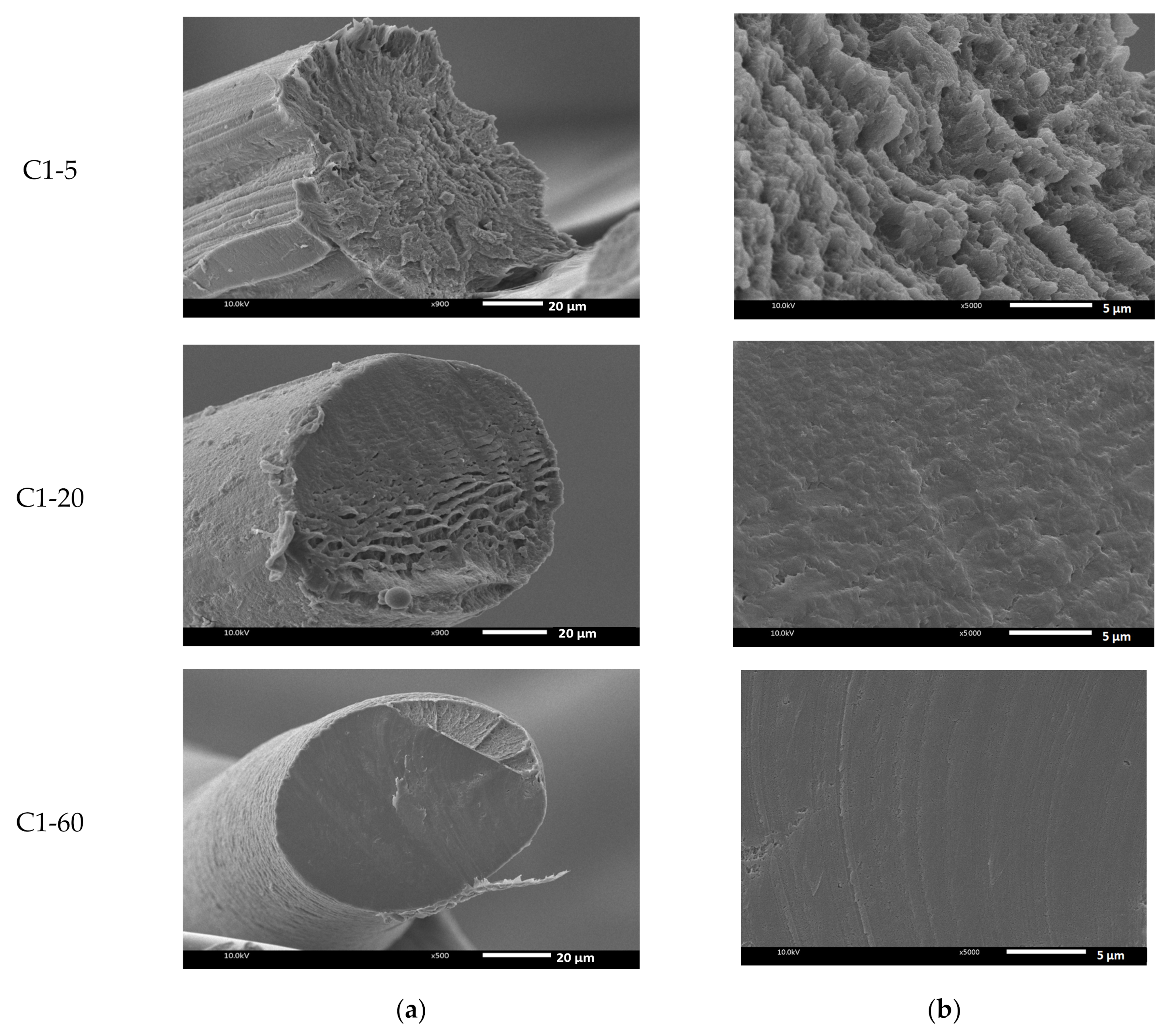 Polymers 13 01909 g004b Polymers 13 01909 g004b